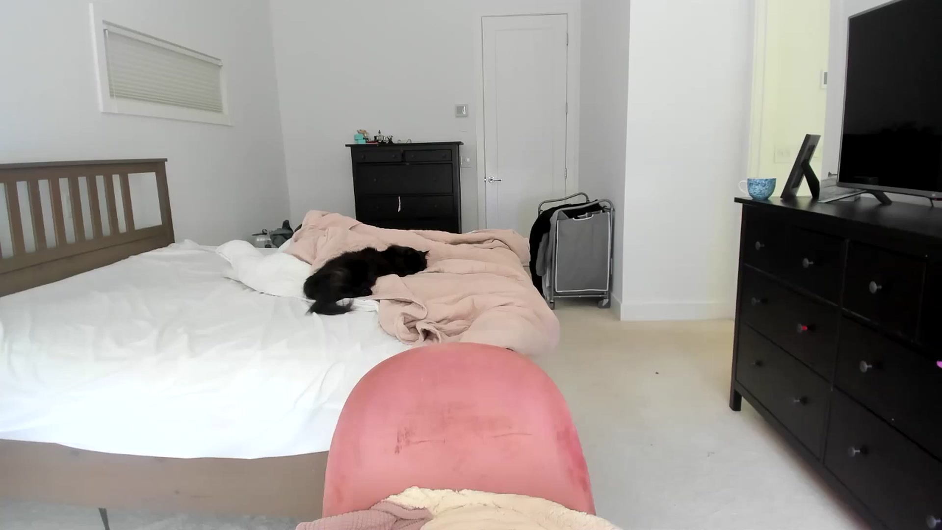 Gallery image thumbnail from Kymmmy's myfreecams stream on, 07/18/2024, 21:23 image 1 of 20