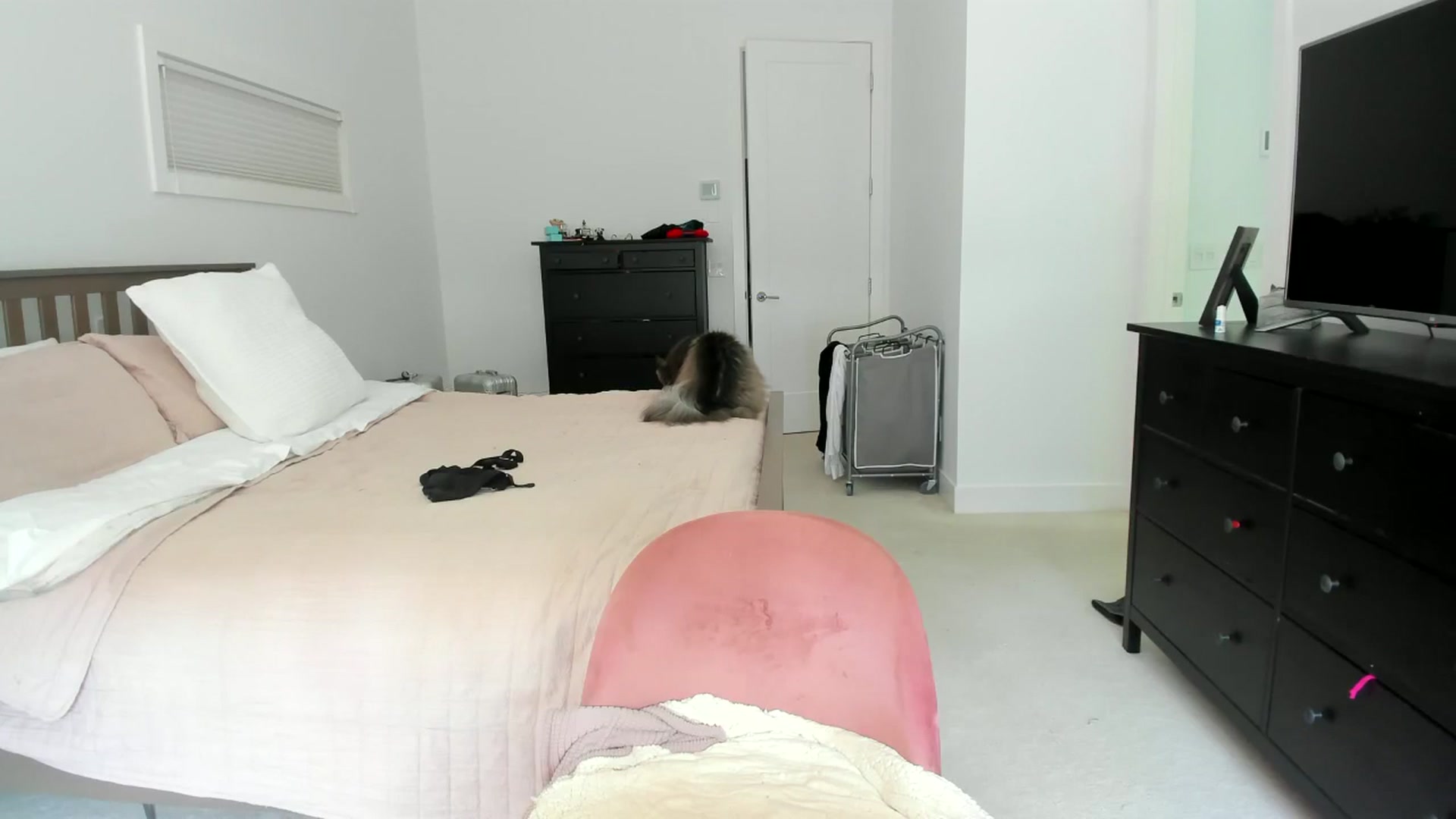 Gallery image thumbnail from Kymmmy's myfreecams stream on, 07/19/2024, 21:52 image 18 of 20