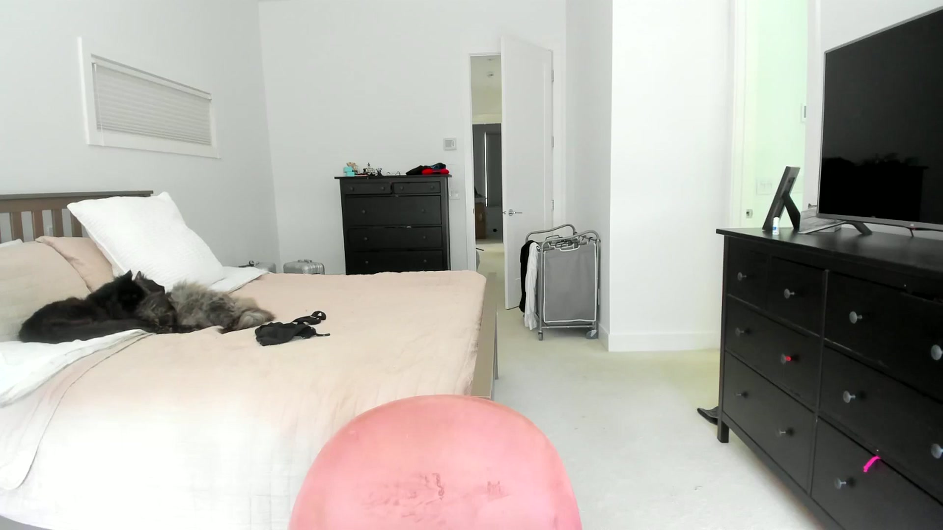 Gallery image thumbnail from Kymmmy's myfreecams stream on, 07/19/2024, 21:52 image 8 of 20