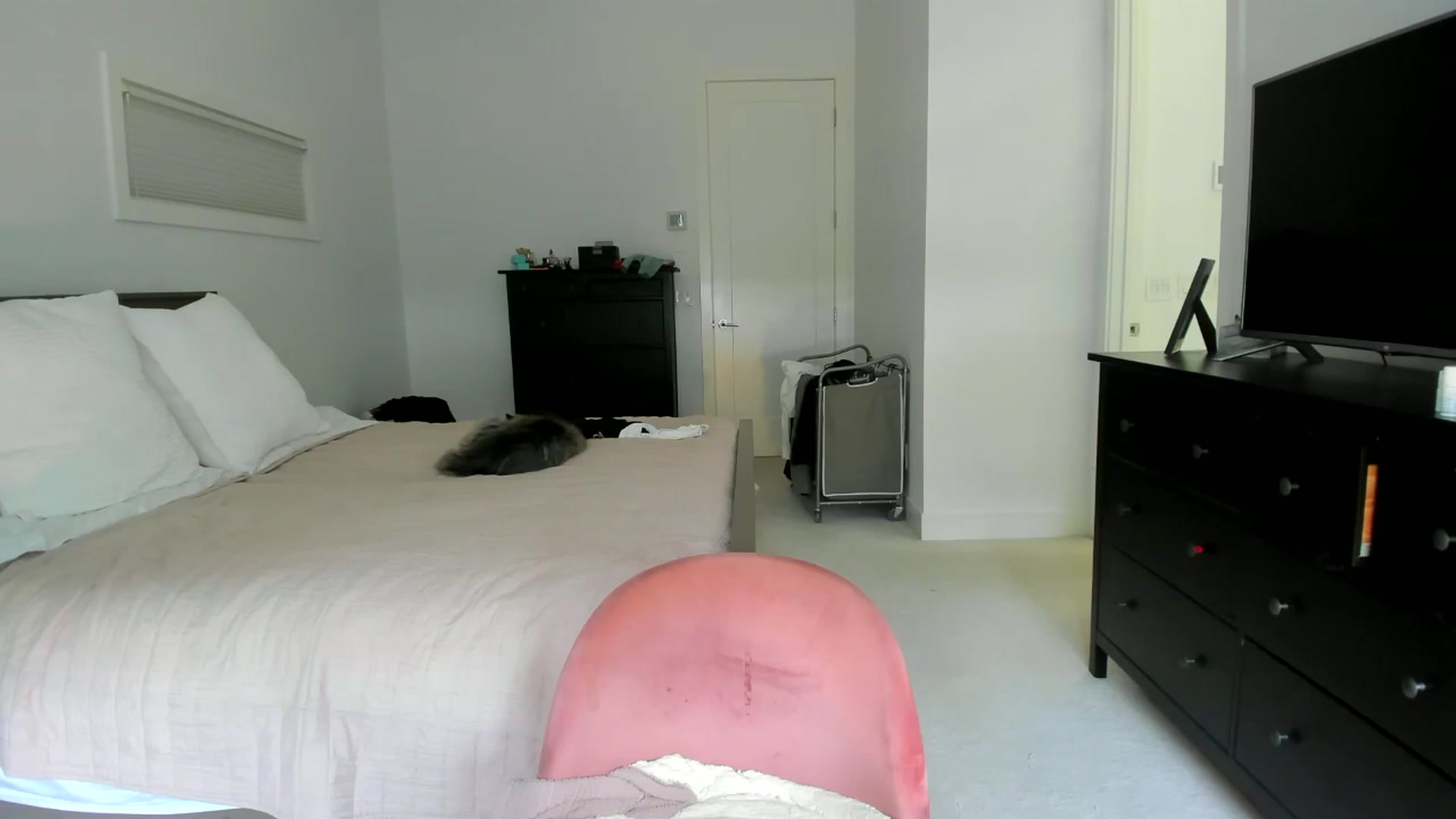 Gallery image thumbnail from Kymmmy's myfreecams stream on, 07/22/2024, 20:41 image 4 of 20