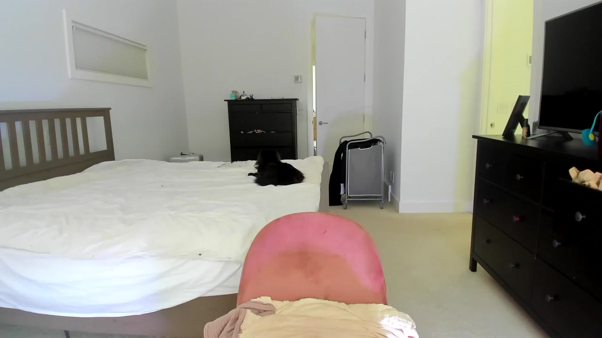 Gallery image thumbnail from Kymmmy's myfreecams stream on, 07/23/2024, 21:10 image 18 of 20