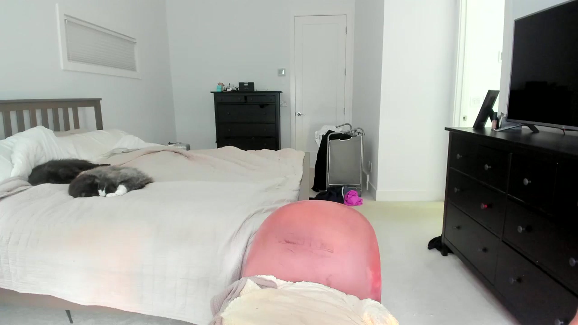 Gallery image thumbnail from Kymmmy's myfreecams stream on, 07/27/2024, 20:18 image 8 of 20