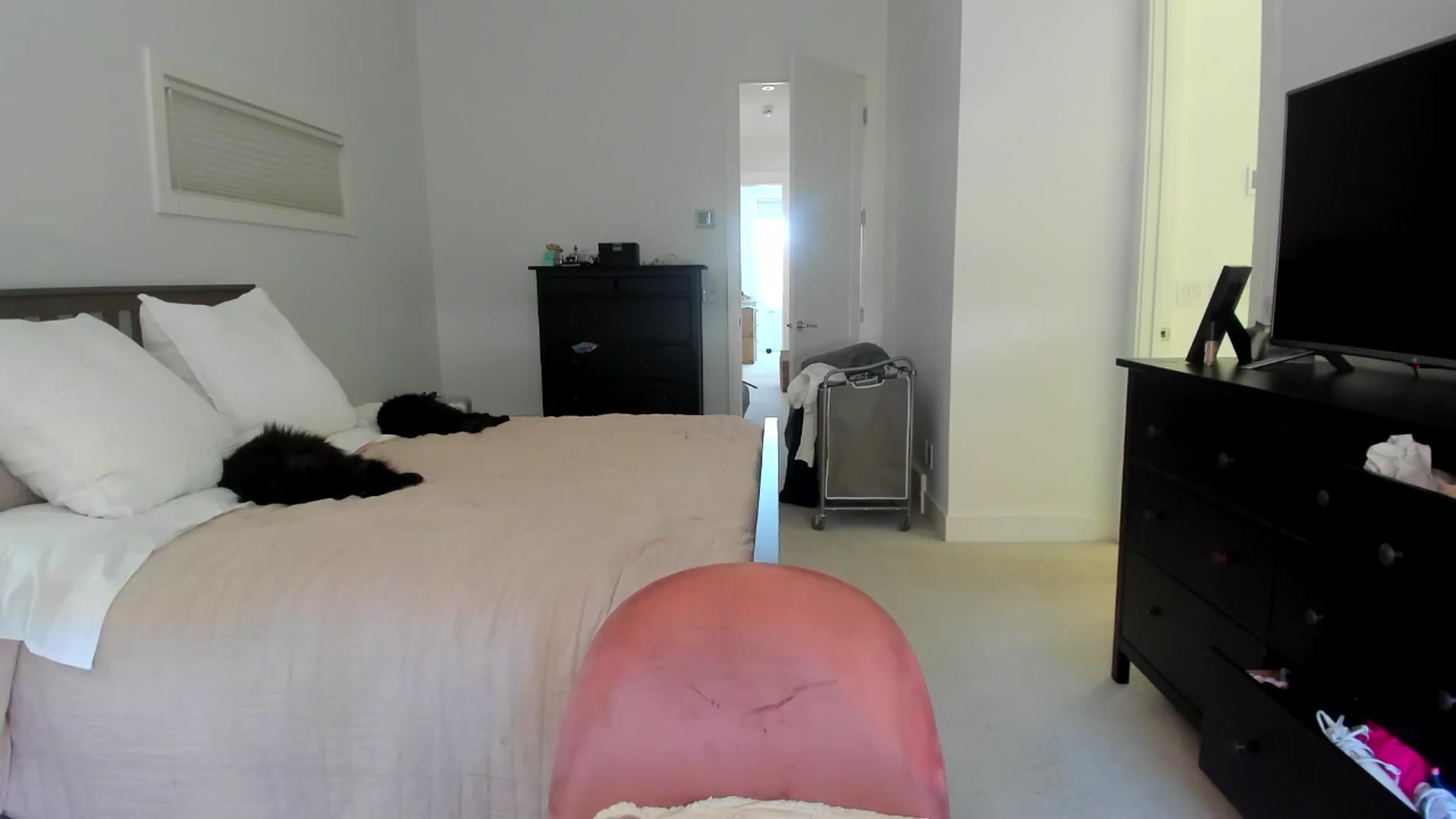 Gallery image thumbnail from Kymmmy's myfreecams stream on, 07/31/2024, 21:03 image 8 of 20