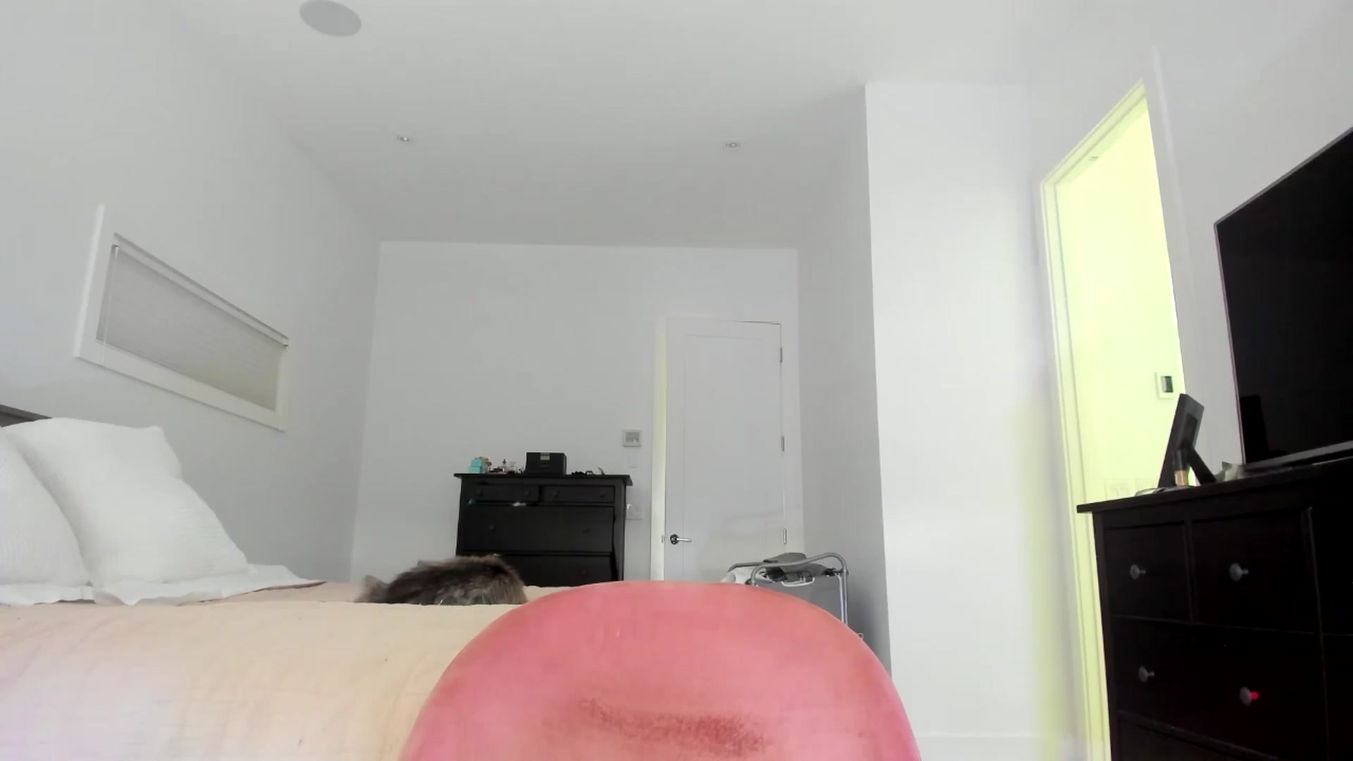 Gallery image thumbnail from Kymmmy's myfreecams stream on, 08/01/2024, 20:28 image 13 of 20