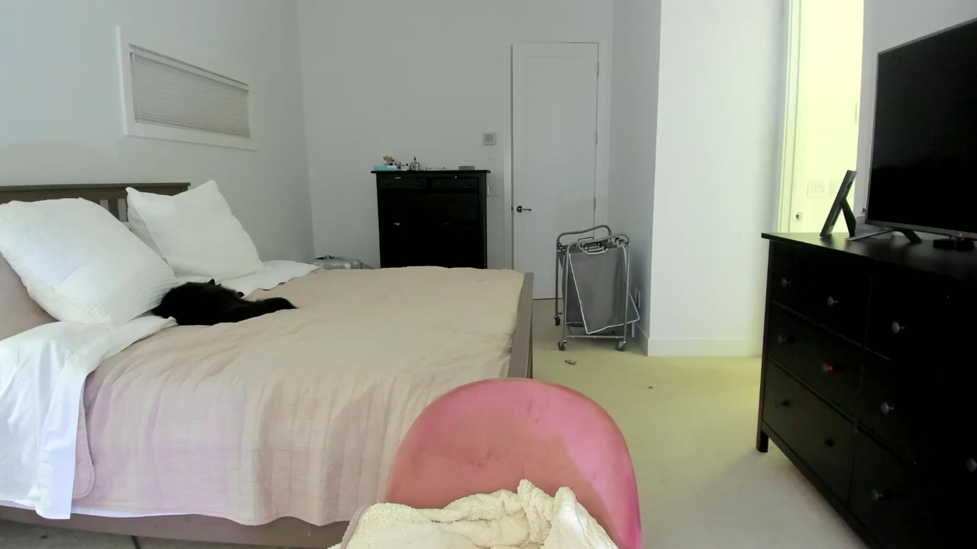 Gallery image thumbnail from Kymmmy's myfreecams stream on, 09/20/2024, 17:44 image 3 of 20