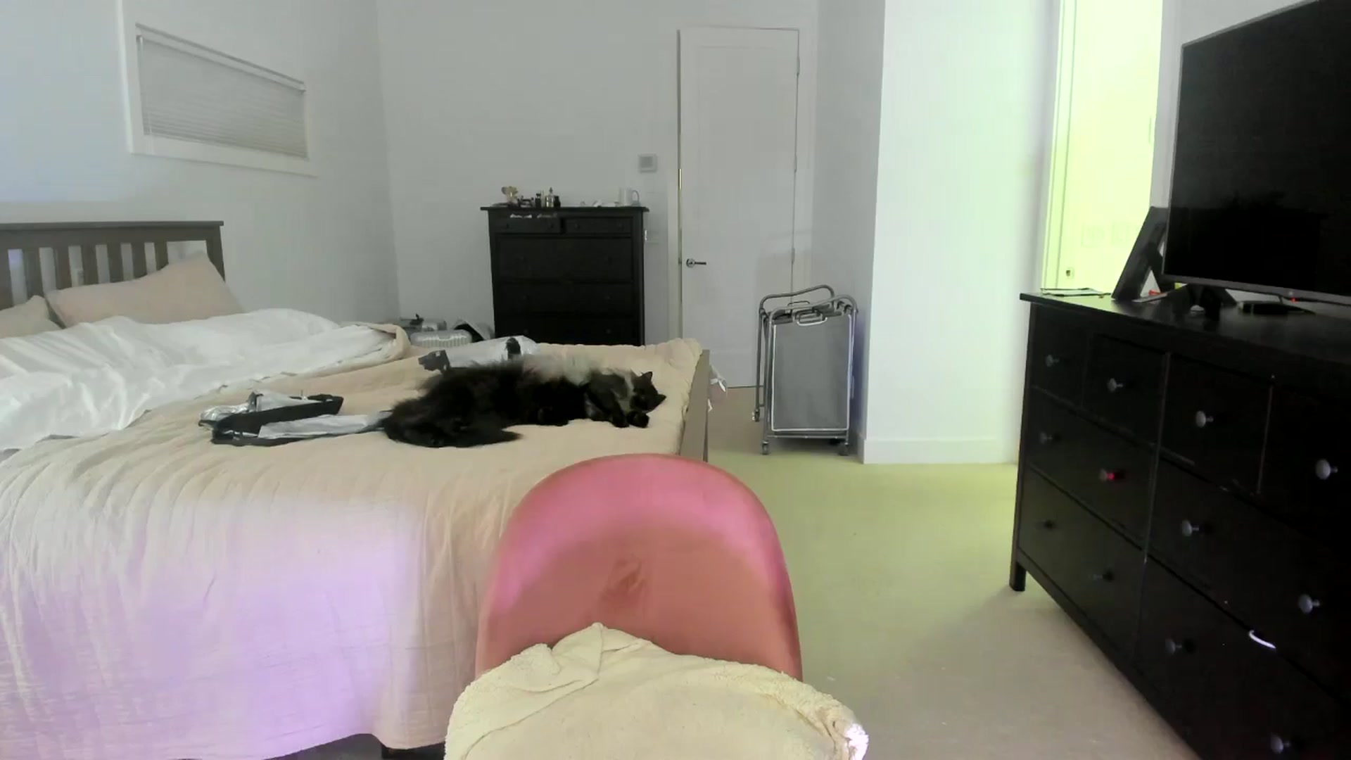 Gallery image thumbnail from Kymmmy's myfreecams stream on, 10/31/2024, 24:17 image 9 of 20