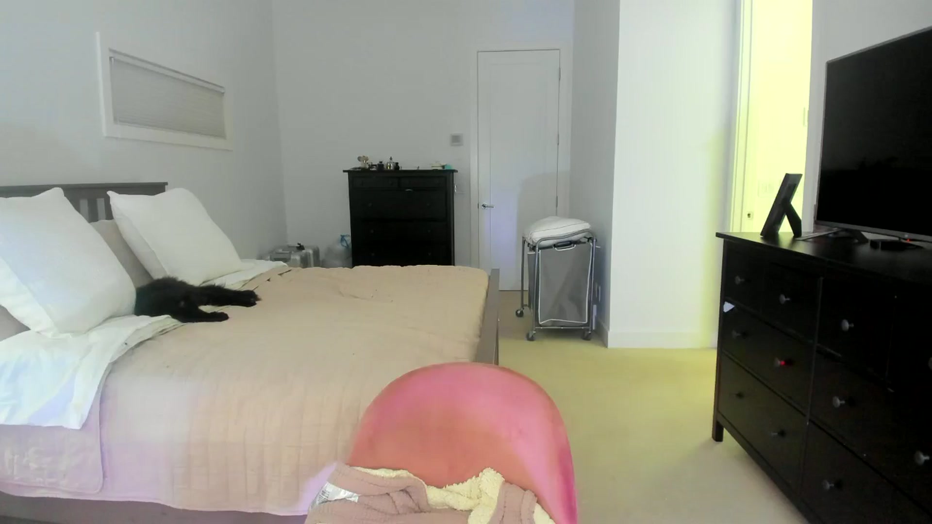 Gallery image thumbnail from Kymmmy's myfreecams stream on, 11/04/2024, 23:11 image 20 of 20