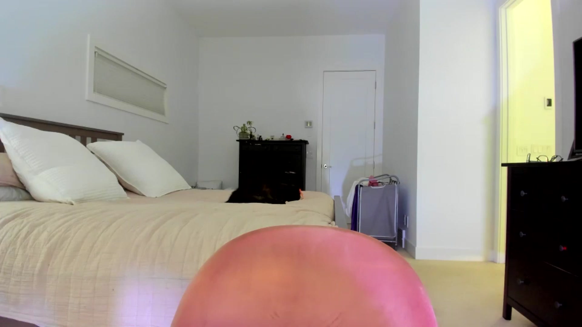 Gallery image thumbnail from Kymmmy's myfreecams stream on, 05/14/2025, 02:42 image 2 of 20