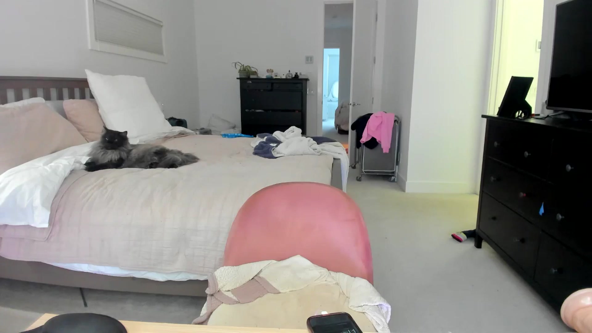 Gallery image thumbnail from Kymmmy's myfreecams stream on, 02/25/2026, 01:03 image 11 of 20