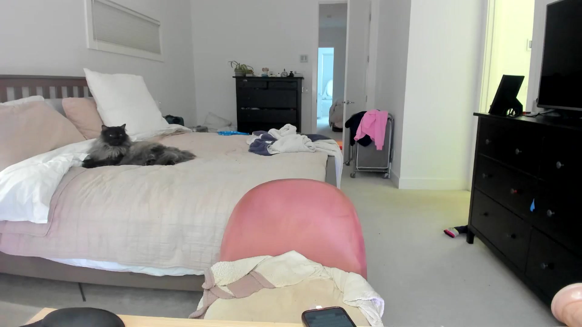 Gallery image thumbnail from Kymmmy's myfreecams stream on, 02/25/2026, 01:03 image 10 of 20