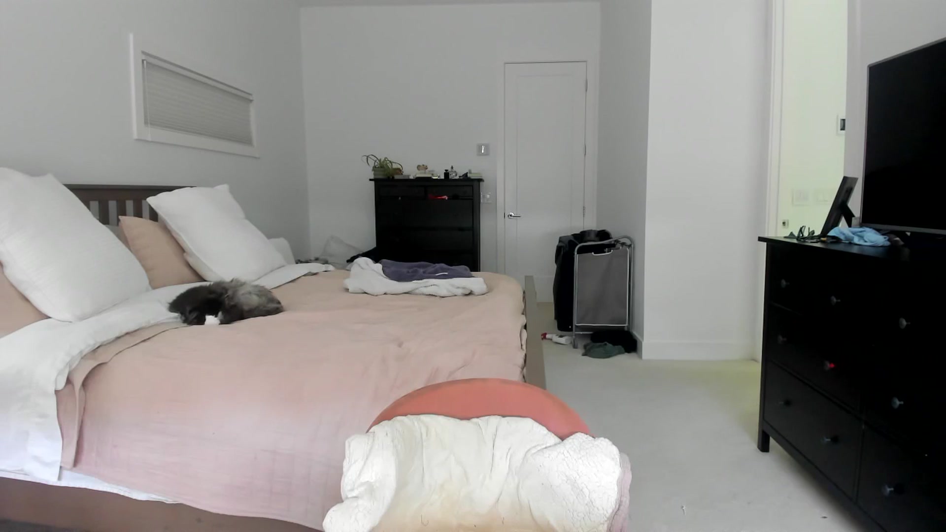 Gallery image thumbnail from Kymmmy's myfreecams stream on, 03/11/2026, 21:18 image 13 of 20