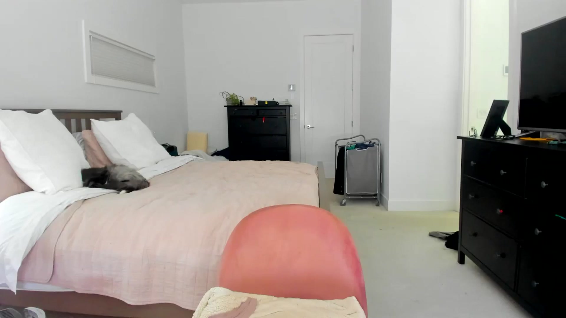 Gallery image thumbnail from Kymmmy's myfreecams stream on, 03/23/2026, 22:09 image 6 of 20