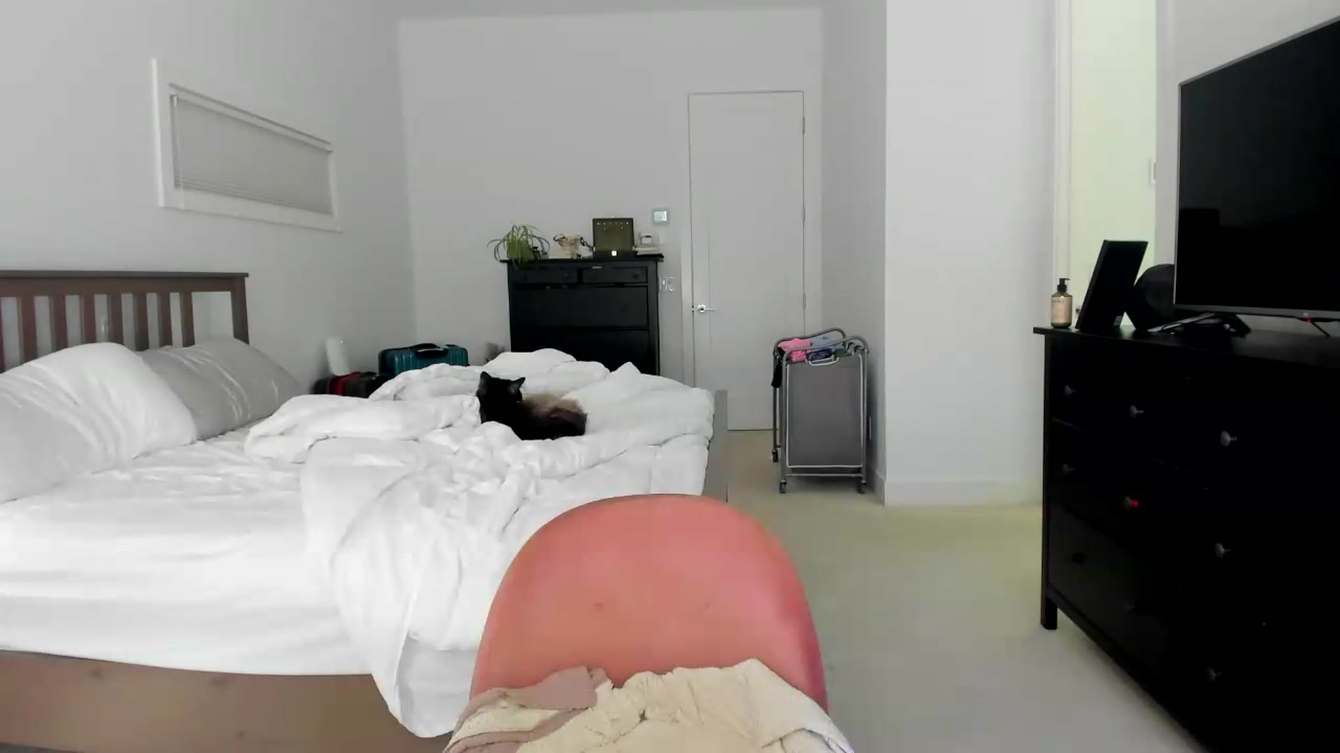 Gallery image thumbnail from Kymmmy's myfreecams stream on, 07/29/2026, 21:54 image 20 of 20