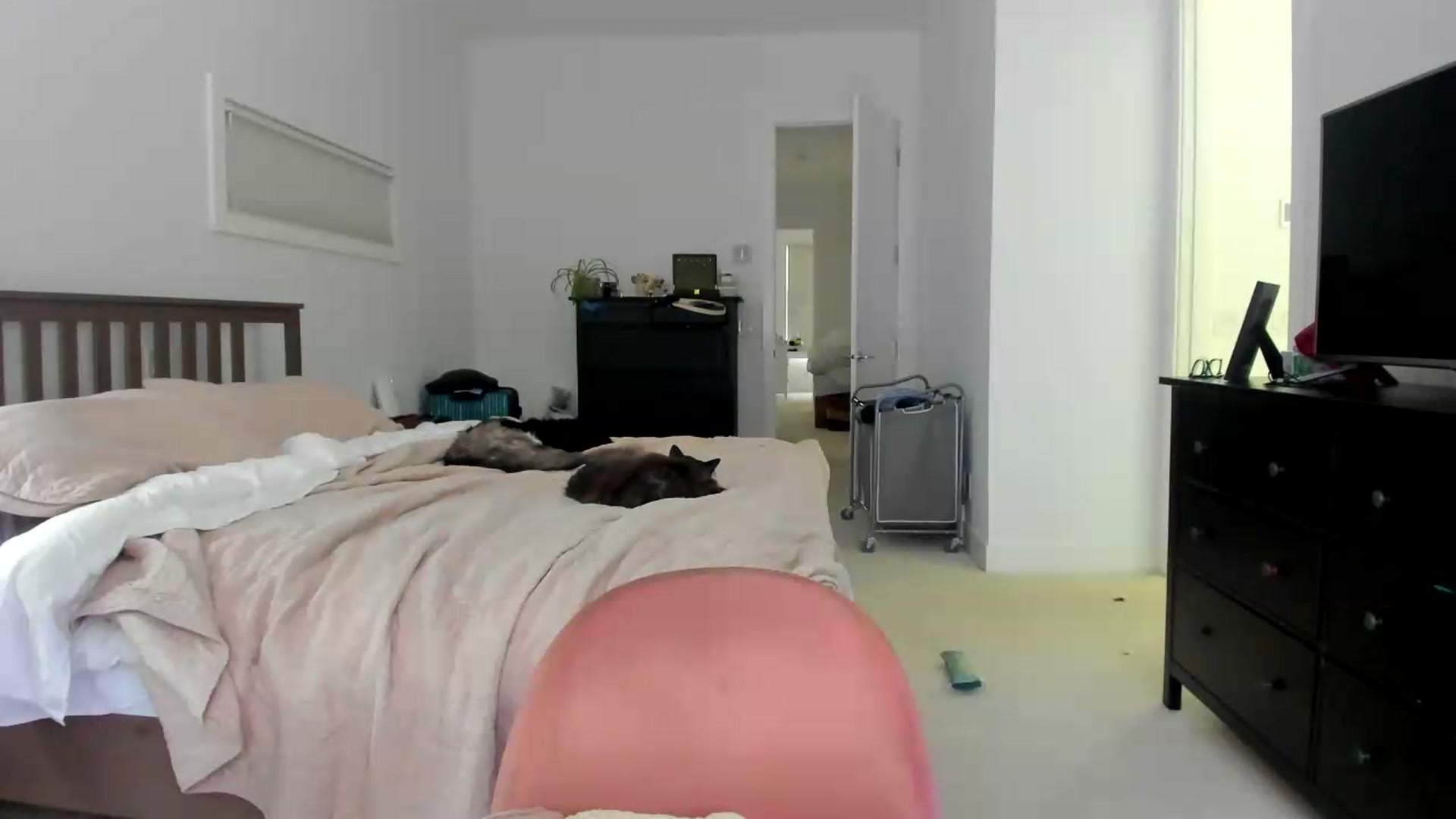 Gallery image thumbnail from Kymmmy's myfreecams stream on, 08/14/2026, 22:03 image 15 of 20
