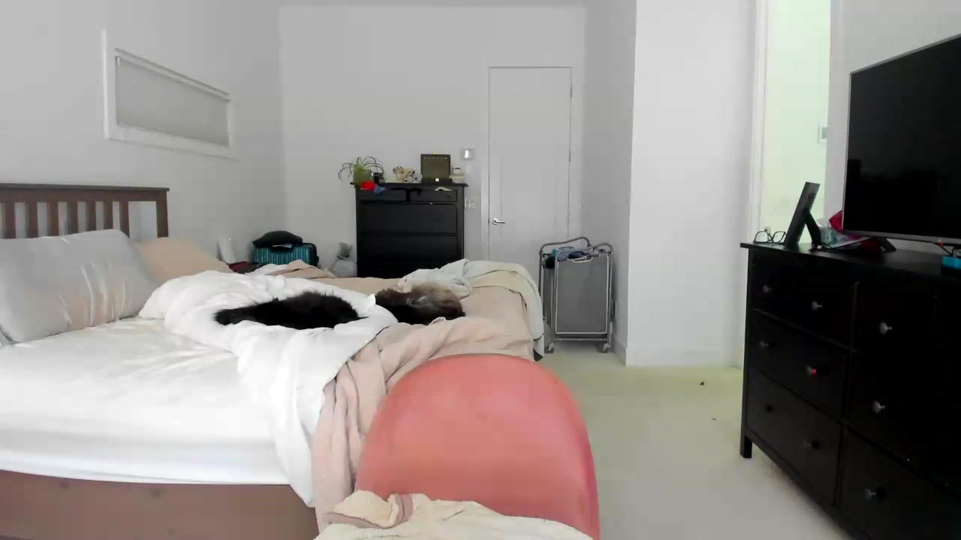 Gallery image thumbnail from Kymmmy's myfreecams stream on, 08/15/2026, 22:55 image 4 of 20