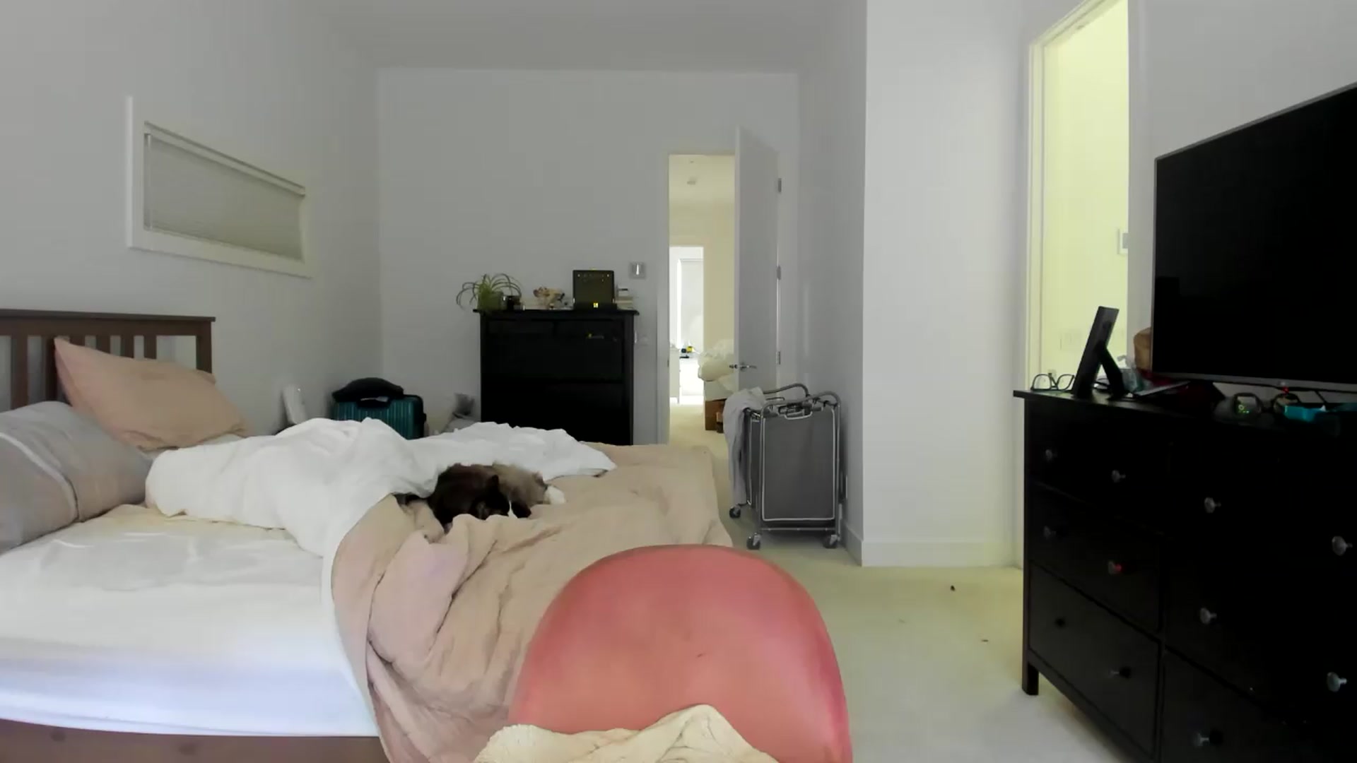 Gallery image thumbnail from Kymmmy's myfreecams stream on, 08/16/2026, 19:25 image 12 of 20