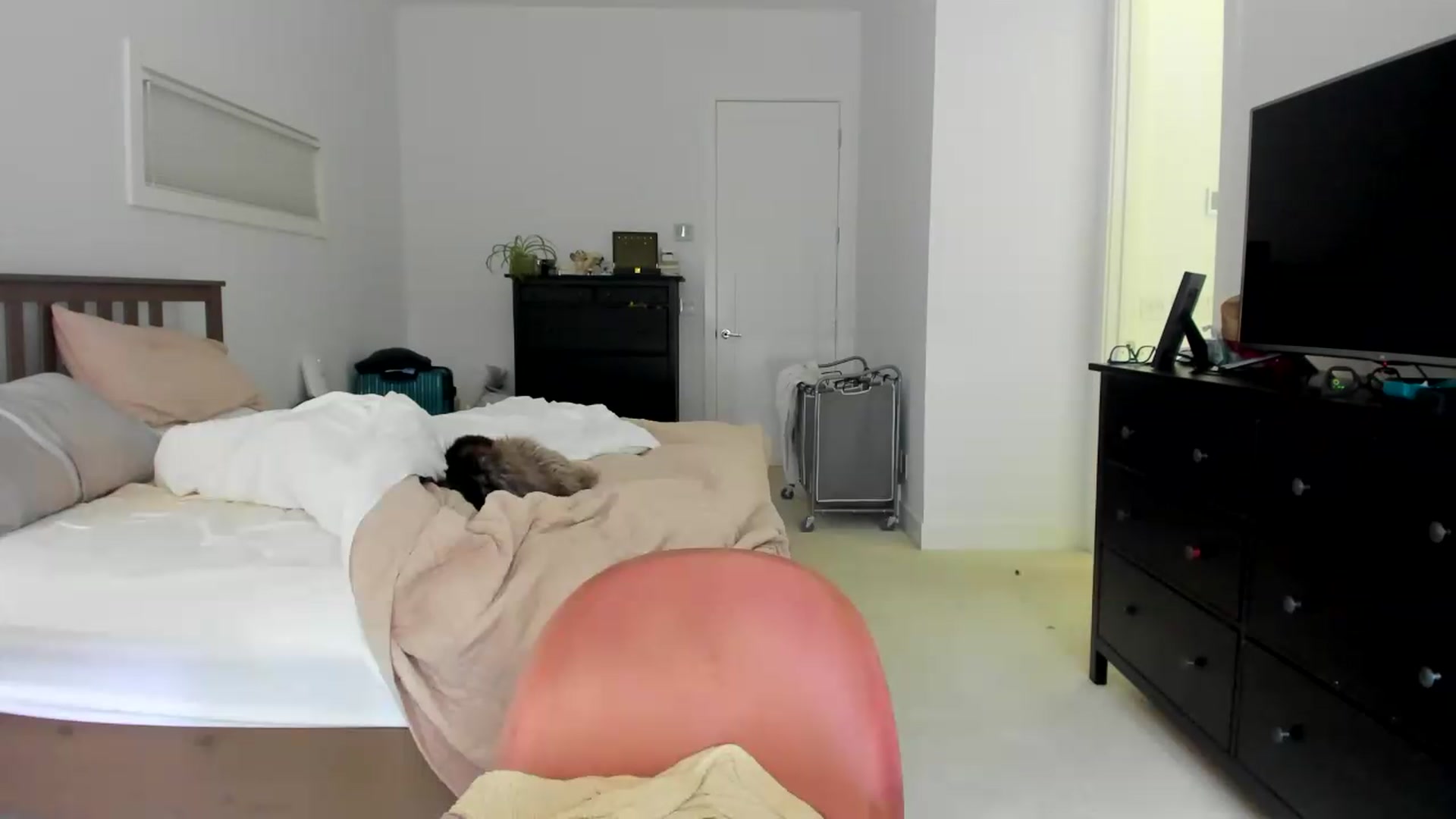 Gallery image thumbnail from Kymmmy's myfreecams stream on, 08/16/2026, 19:56 image 12 of 20