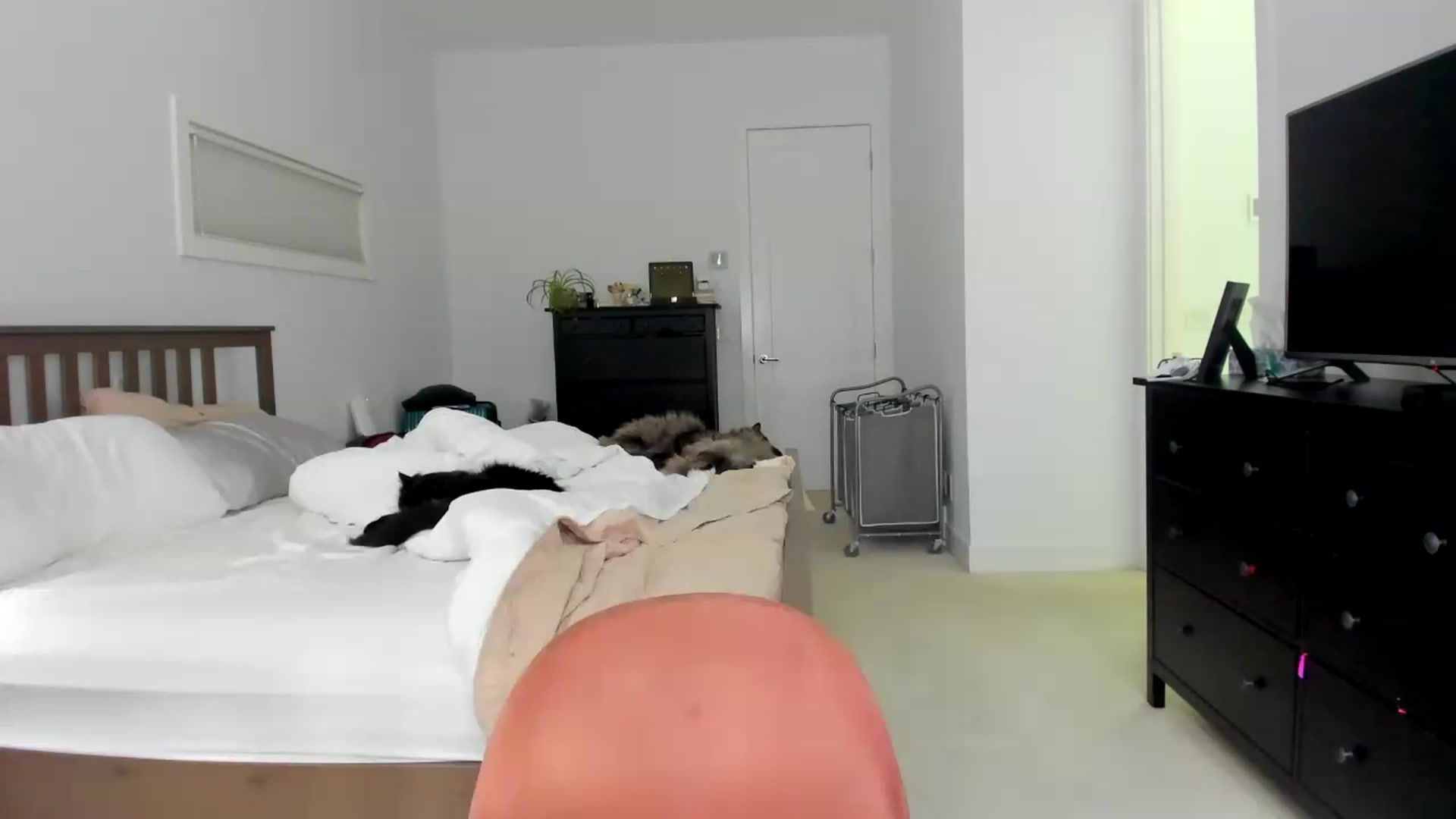 Gallery image thumbnail from Kymmmy's myfreecams stream on, 08/18/2026, 21:09 image 18 of 20