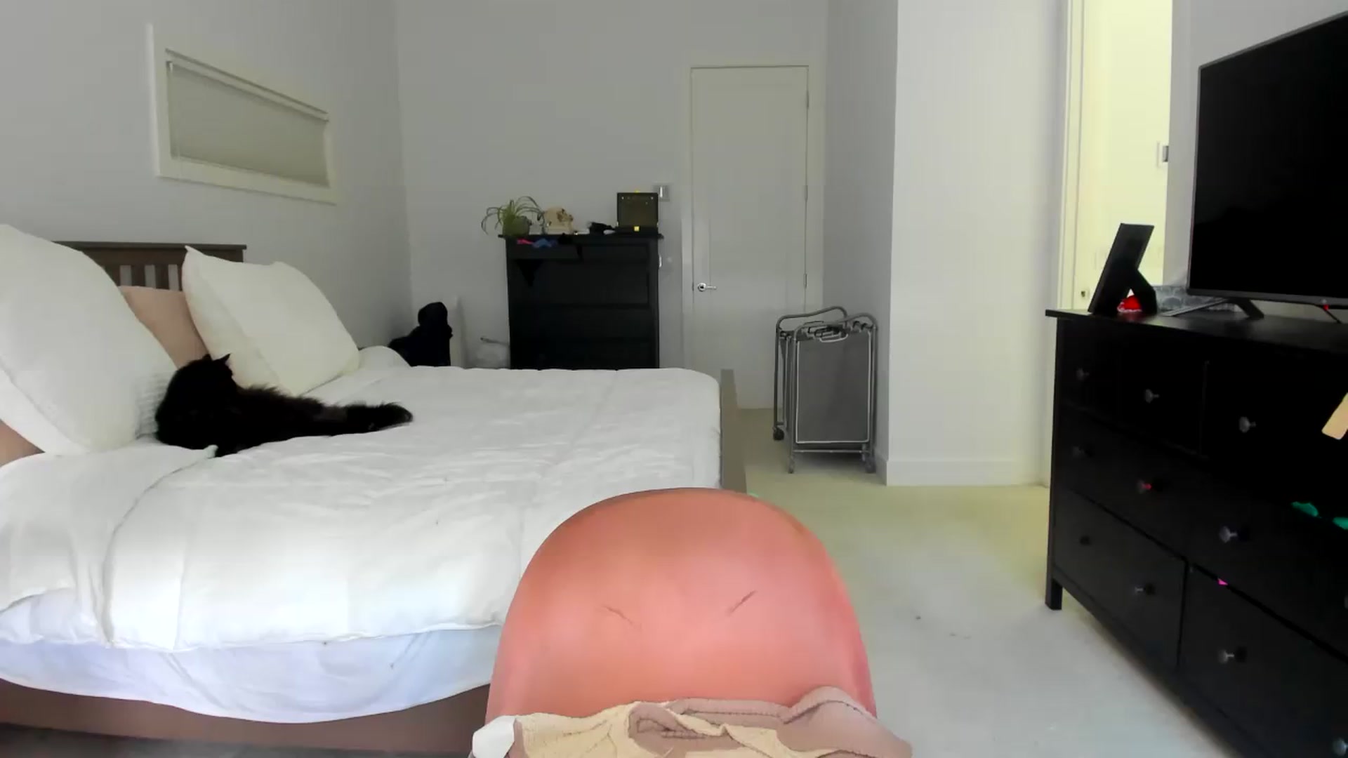 Gallery image thumbnail from Kymmmy's myfreecams stream on, 08/27/2026, 19:44 image 13 of 20