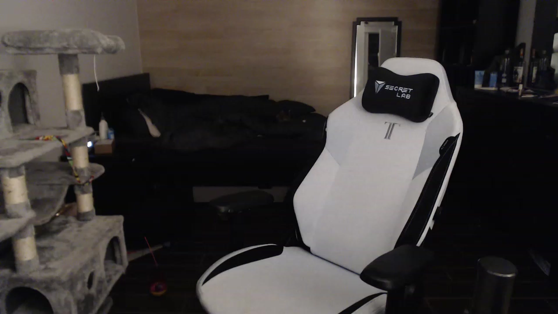 Gallery image thumbnail from L4DYBUG's myfreecams stream on, 02/06/2023, 07:51 image 17 of 20