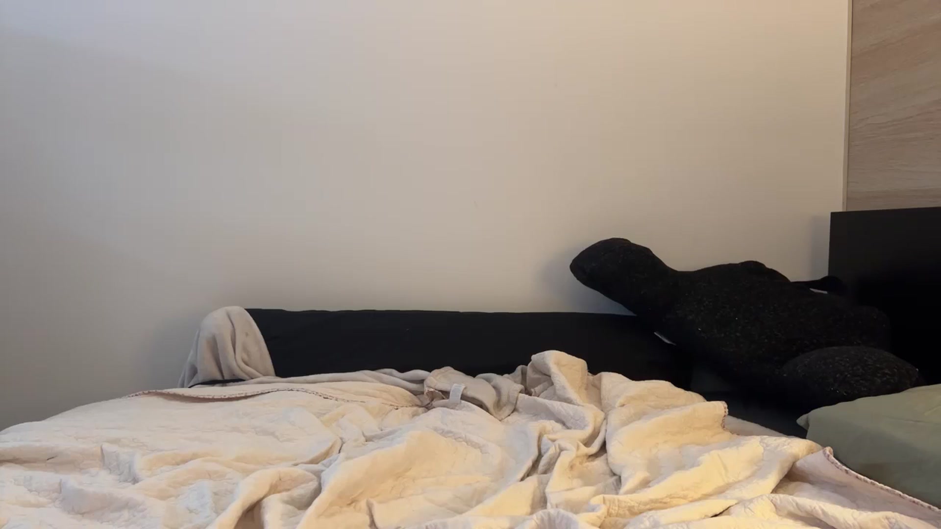 Gallery image thumbnail from LADYBUG's myfreecams stream on, 02/05/2024, 17:07 image 5 of 20