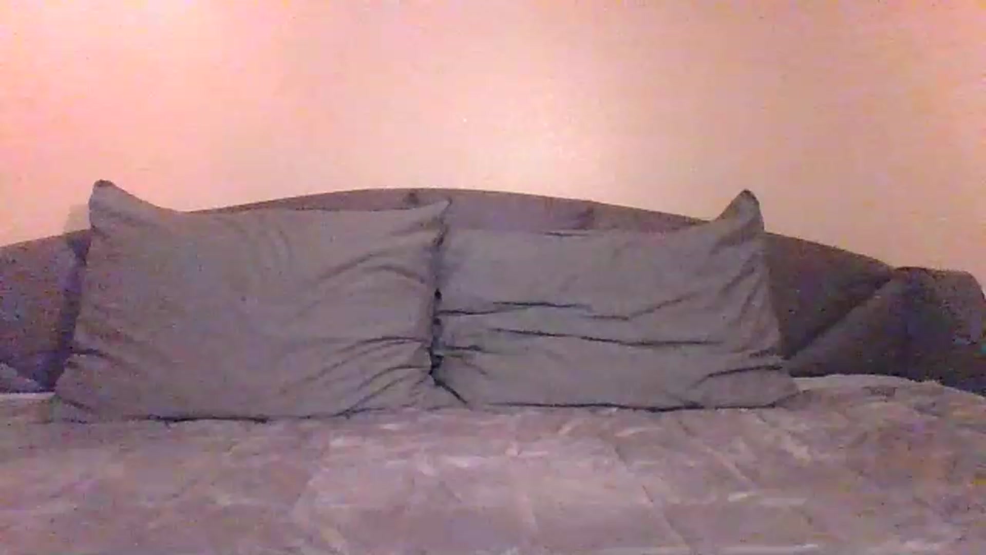 Gallery image thumbnail from LVDOLL's myfreecams stream on, 03/24/2023, 05:09 image 16 of 20