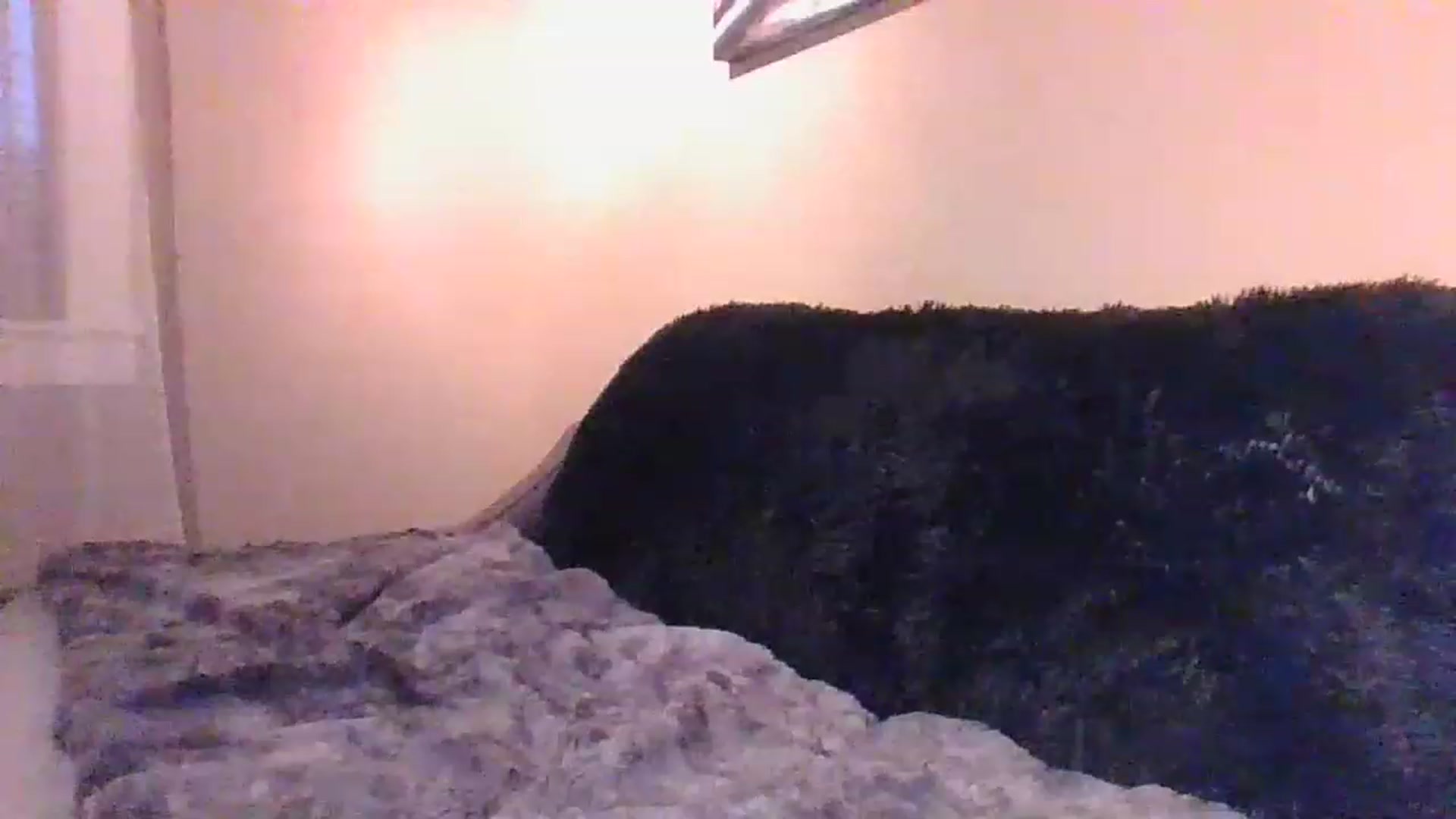 Gallery image thumbnail from LVDOLL's myfreecams stream on, 04/25/2023, 02:35 image 16 of 20