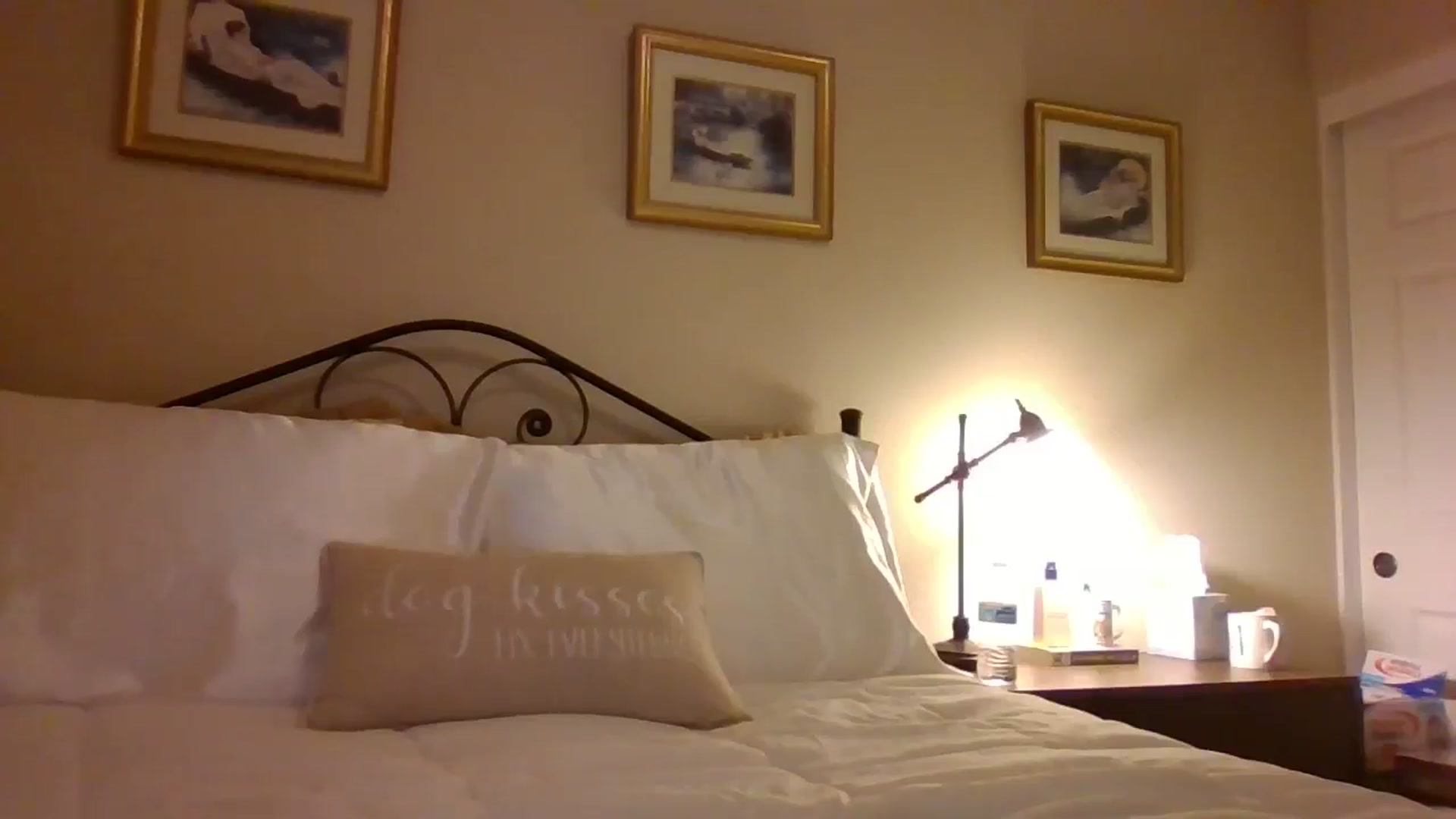 Gallery image thumbnail from LVDOLL's myfreecams stream on, 11/19/2024, 04:52 image 18 of 20