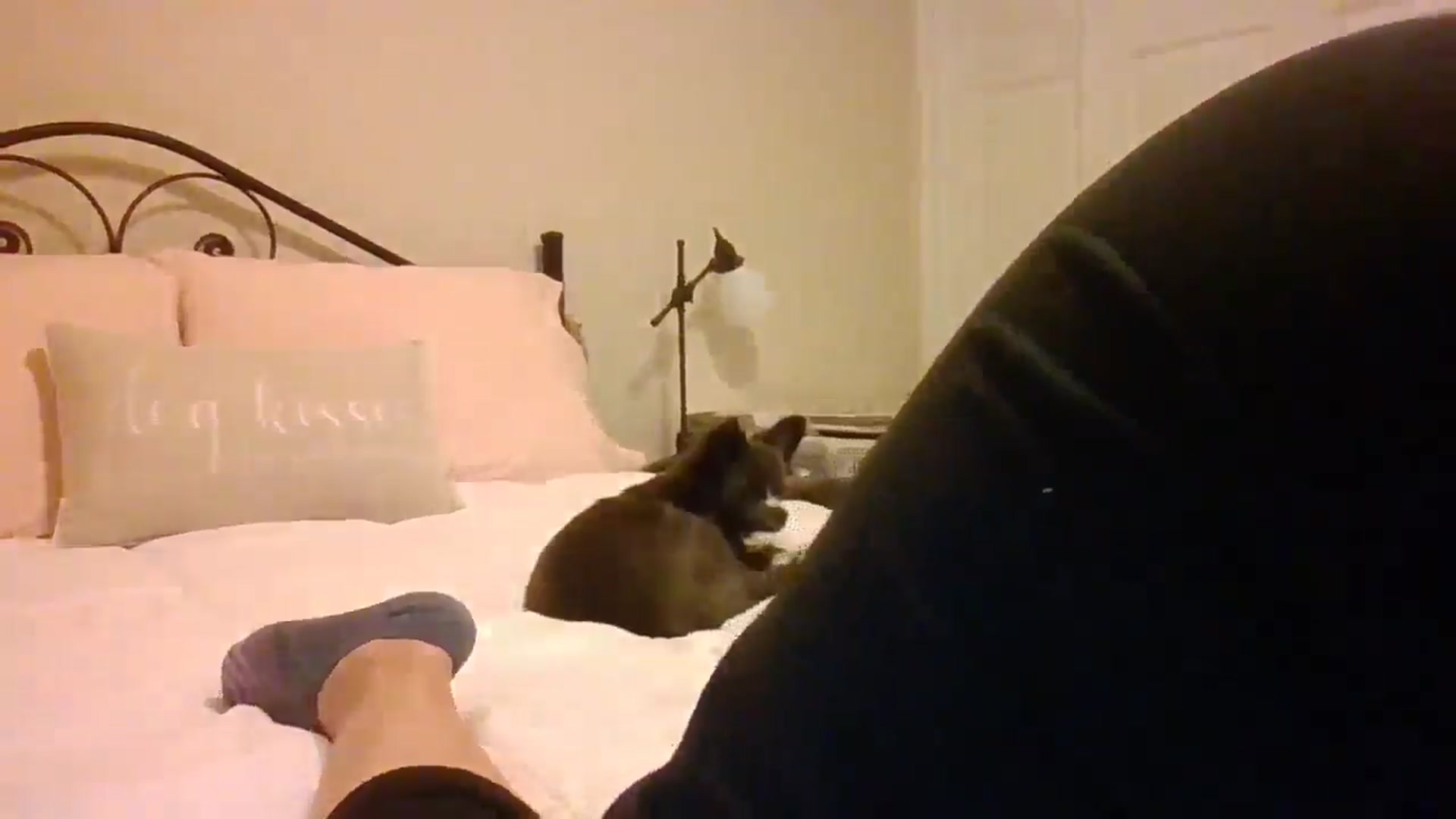 Gallery image thumbnail from LVDOLL's myfreecams stream on, 12/17/2024, 08:01 image 19 of 20