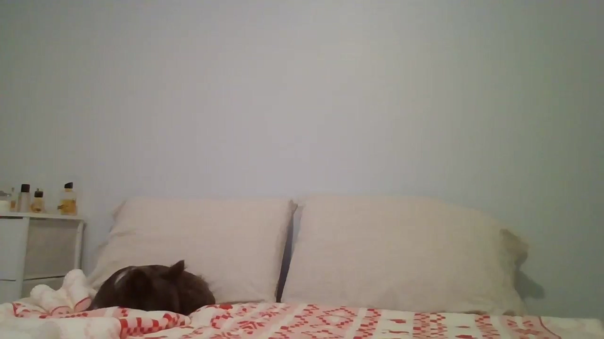 Gallery image thumbnail from LVDOLL's myfreecams stream on, 01/10/2026, 05:12 image 4 of 20