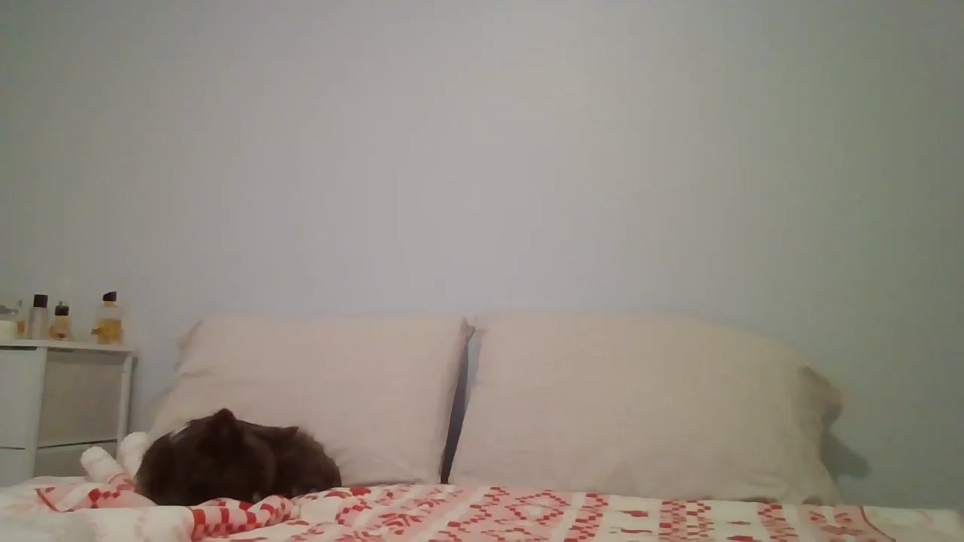 Gallery image thumbnail from LVDOLL's myfreecams stream on, 01/10/2026, 05:12 image 3 of 20