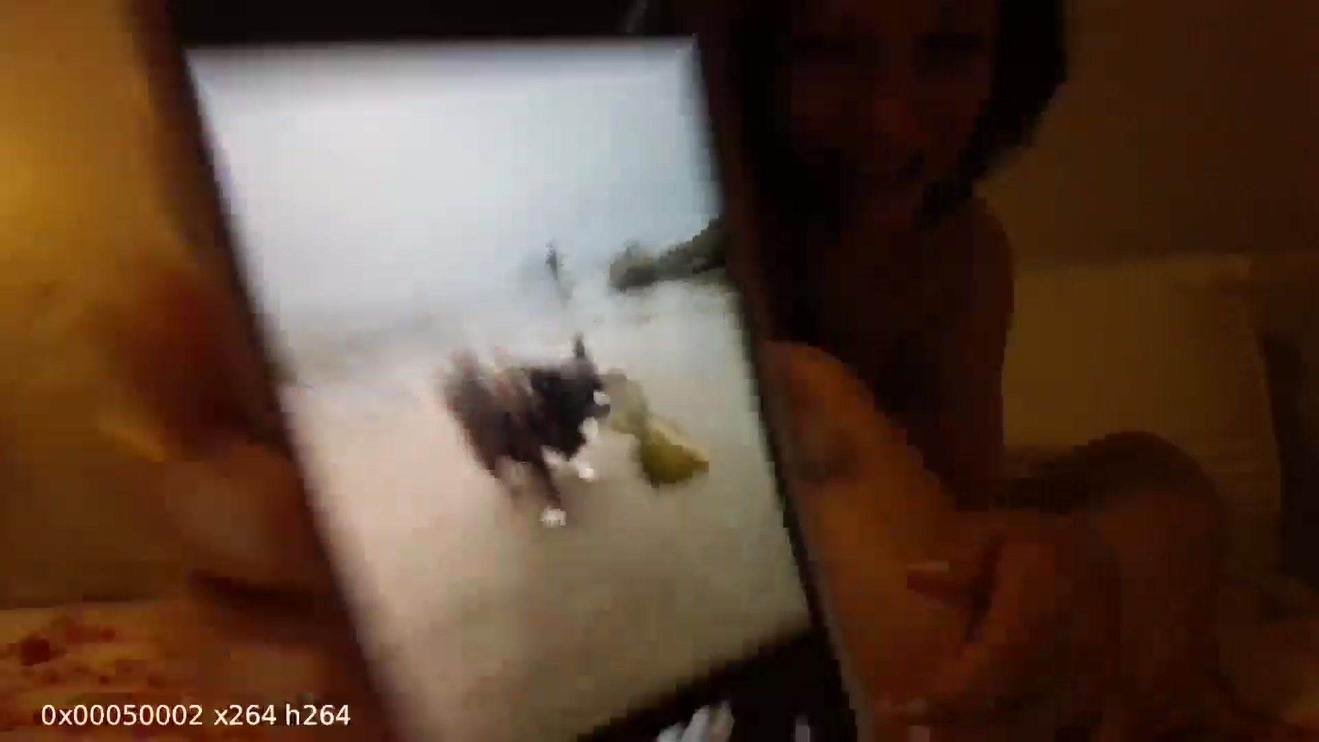 Gallery image thumbnail from LVDOLL's myfreecams stream on, 03/24/2026, 04:28 image 8 of 20