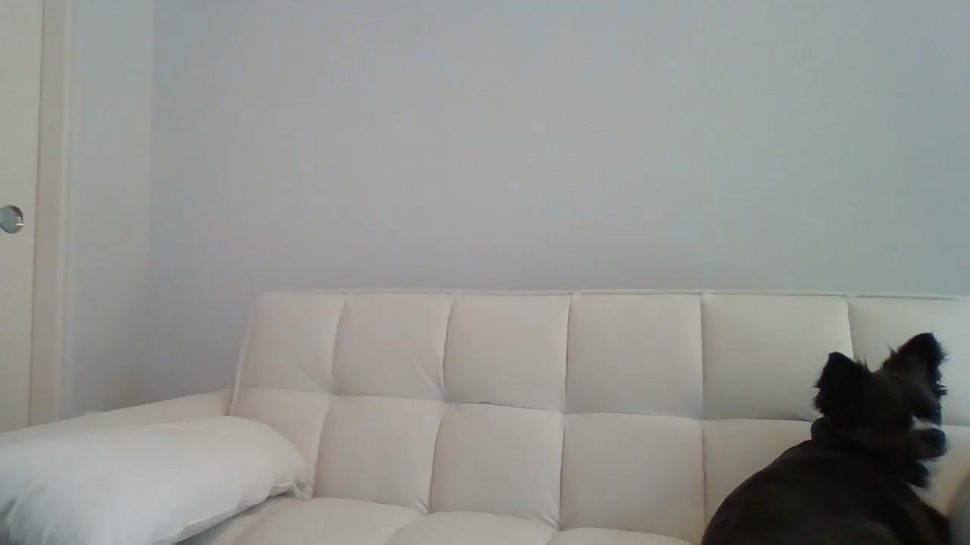 Gallery image thumbnail from LVDOLL's myfreecams stream on, 06/26/2026, 24:29 image 10 of 20