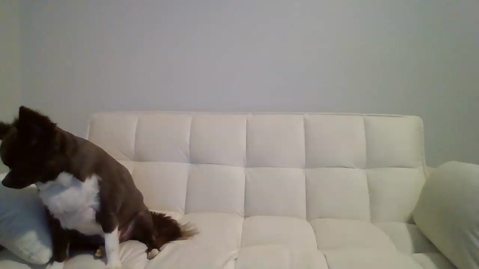 Gallery image thumbnail from LVDOLL's myfreecams stream on, 06/26/2026, 04:05 image 17 of 20
