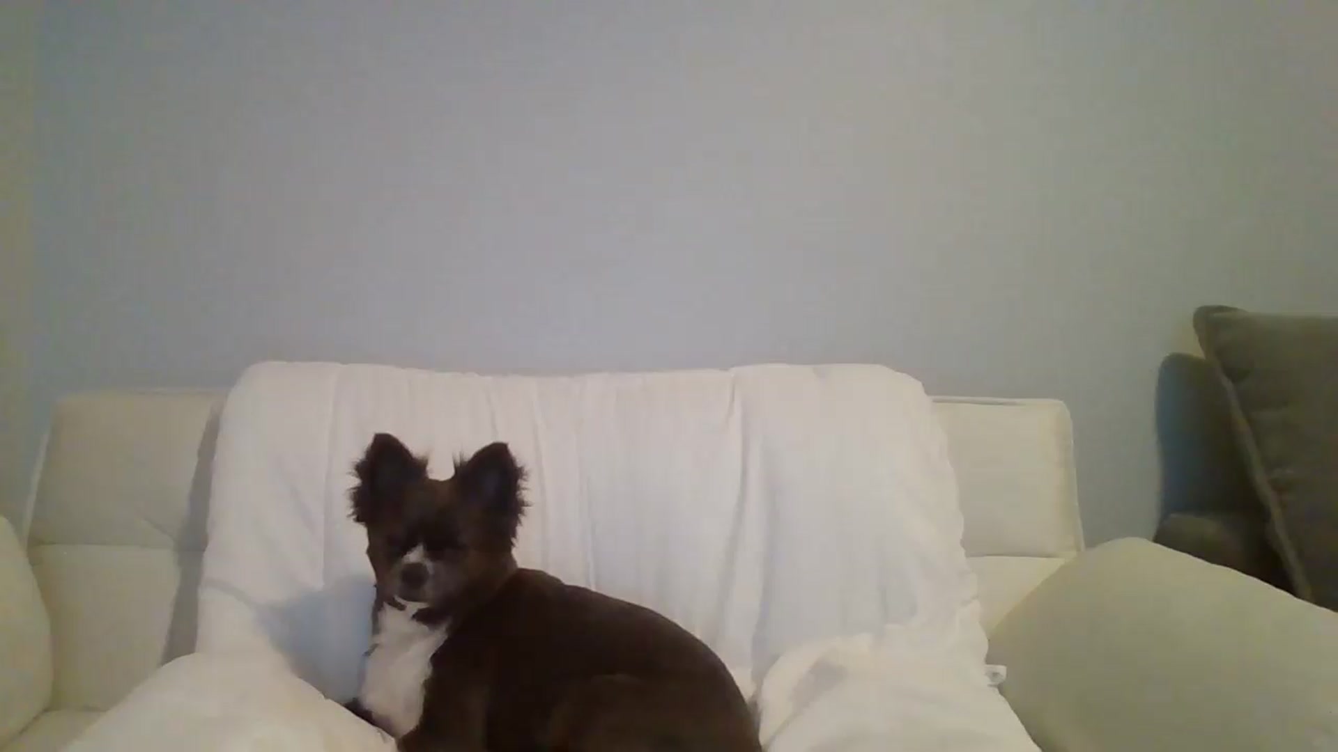 Gallery image thumbnail from LVDOLL's myfreecams stream on, 07/08/2026, 07:08 image 18 of 20