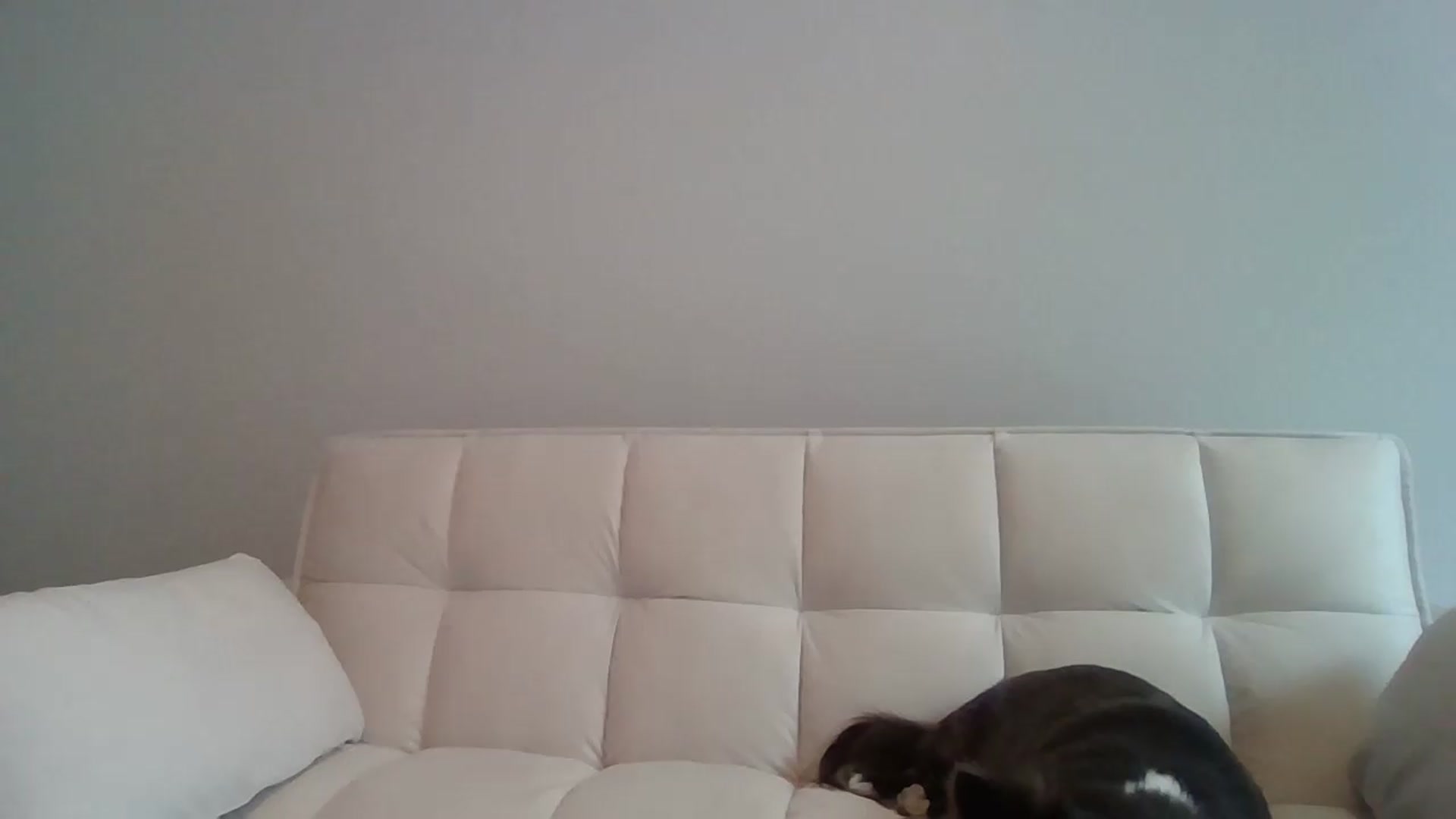 Gallery image thumbnail from LVDOLL's myfreecams stream on, 07/12/2026, 23:06 image 9 of 20