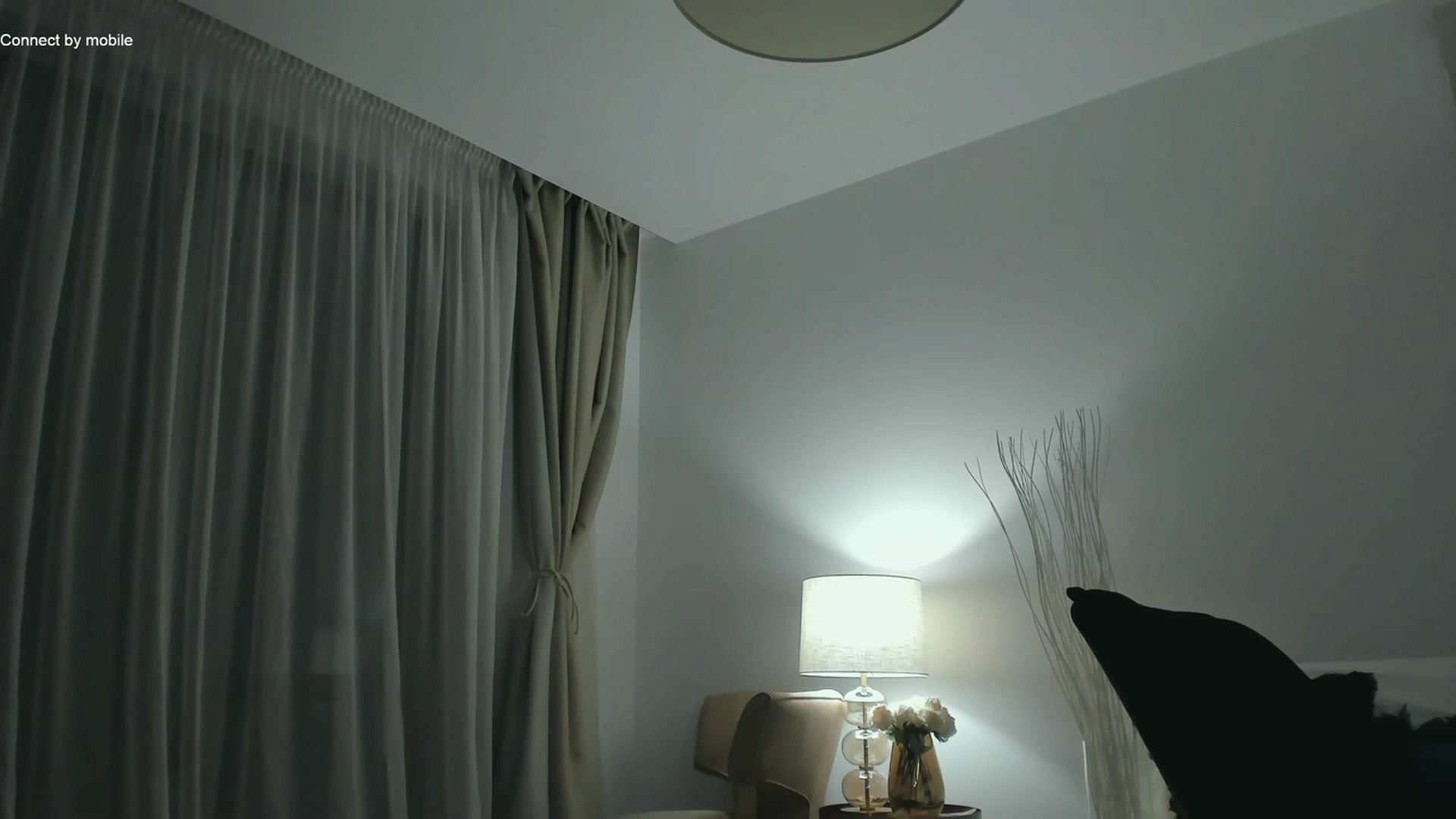 Gallery image thumbnail from L_U_A_'s myfreecams stream on, 12/04/2022, 18:28 image 6 of 20