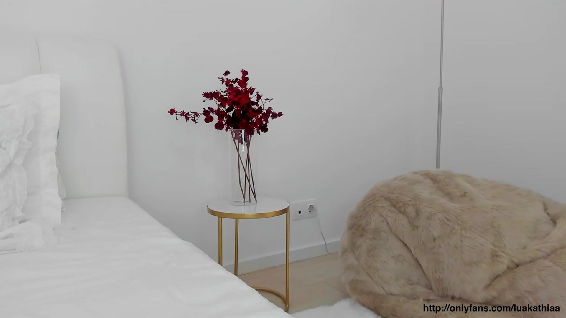Gallery image thumbnail from L_U_A_'s myfreecams stream on, 02/12/2023, 21:14 image 18 of 20