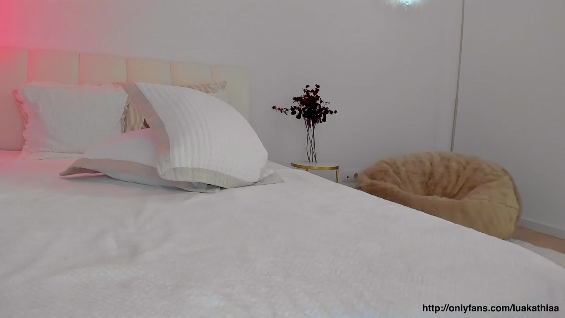 Gallery image thumbnail from L_U_A_'s myfreecams stream on, 02/15/2023, 20:35 image 14 of 20