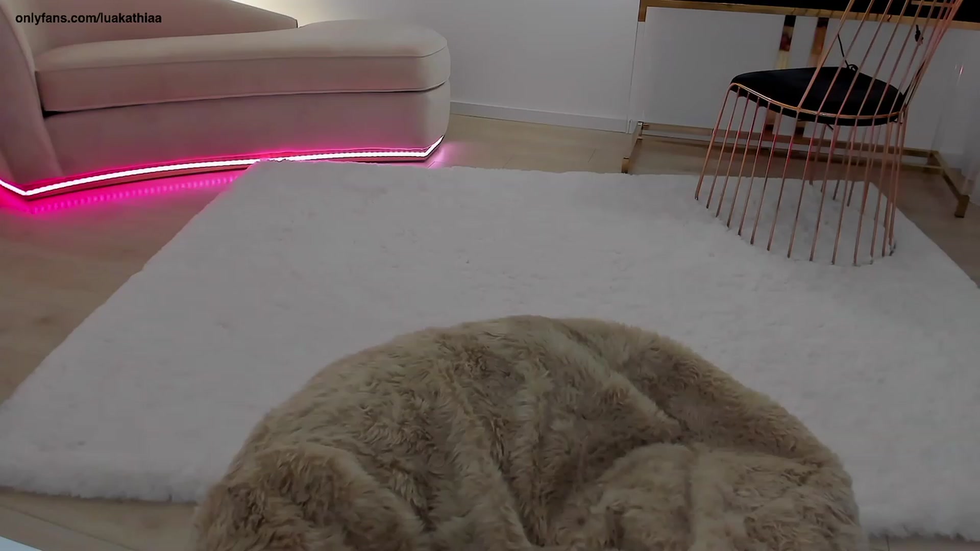 Gallery image thumbnail from L_U_A_'s myfreecams stream on, 04/01/2023, 18:11 image 17 of 20