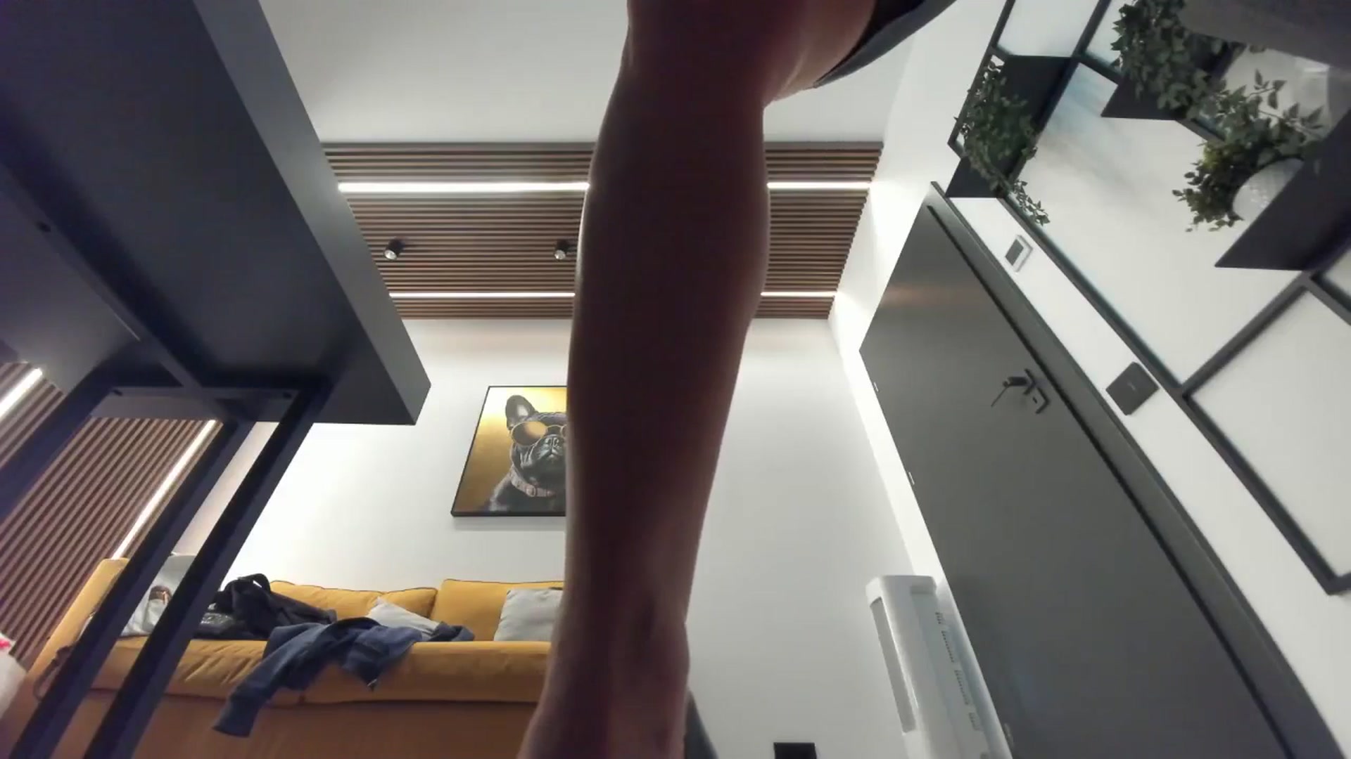 Gallery image thumbnail from L_y_d's myfreecams stream on, 11/14/2025, 22:12 image 13 of 20