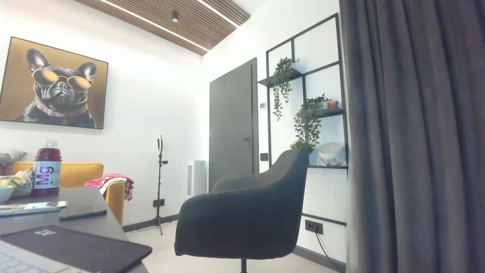 Gallery image thumbnail from L_y_d's myfreecams stream on, 06/12/2026, 16:31 image 11 of 20