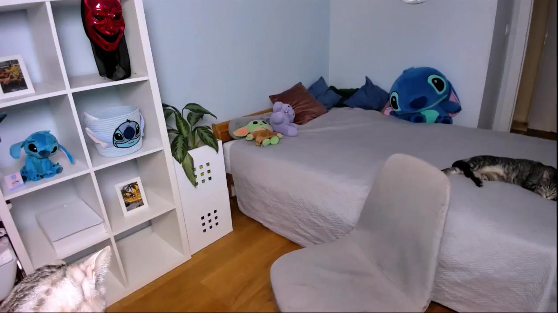 Gallery image thumbnail from LaNuitTresor's myfreecams stream on, 10/25/2024, 16:38 image 9 of 20