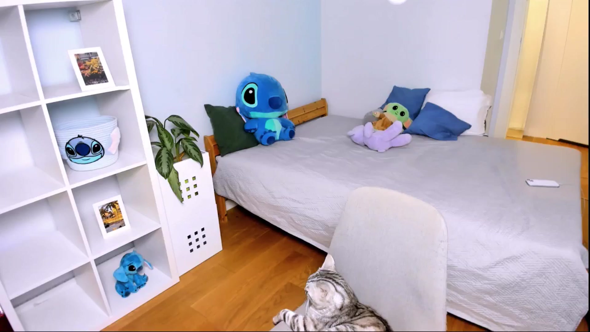 Gallery image thumbnail from LaNuitTresor's myfreecams stream on, 11/01/2024, 16:24 image 19 of 20