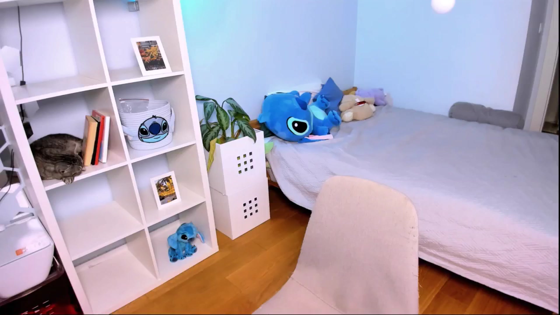 Gallery image thumbnail from LaNuitTresor's myfreecams stream on, 11/14/2024, 16:22 image 13 of 20