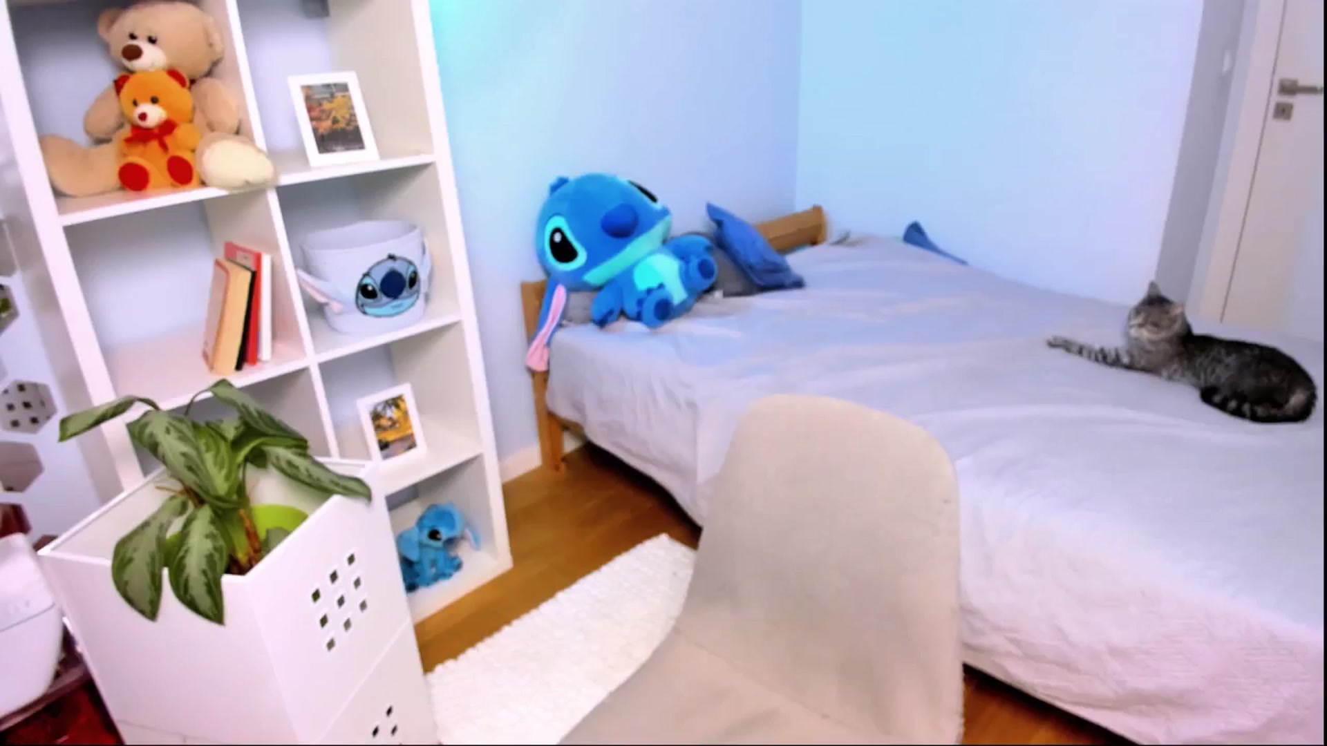 Gallery image thumbnail from LaNuitTresor's myfreecams stream on, 11/26/2024, 15:23 image 15 of 20