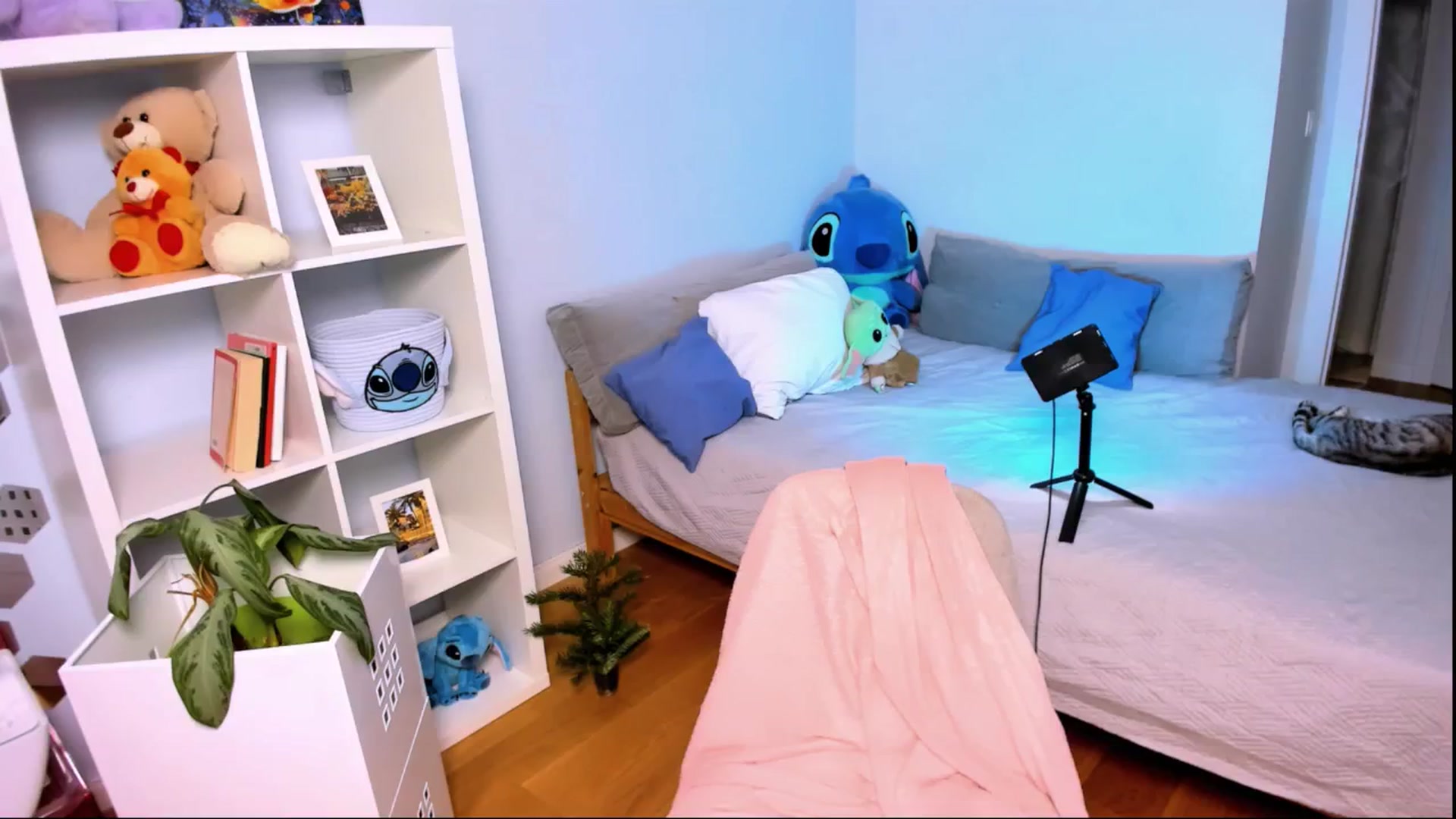 Gallery image thumbnail from LaNuitTresor's myfreecams stream on, 12/24/2024, 23:53 image 10 of 20