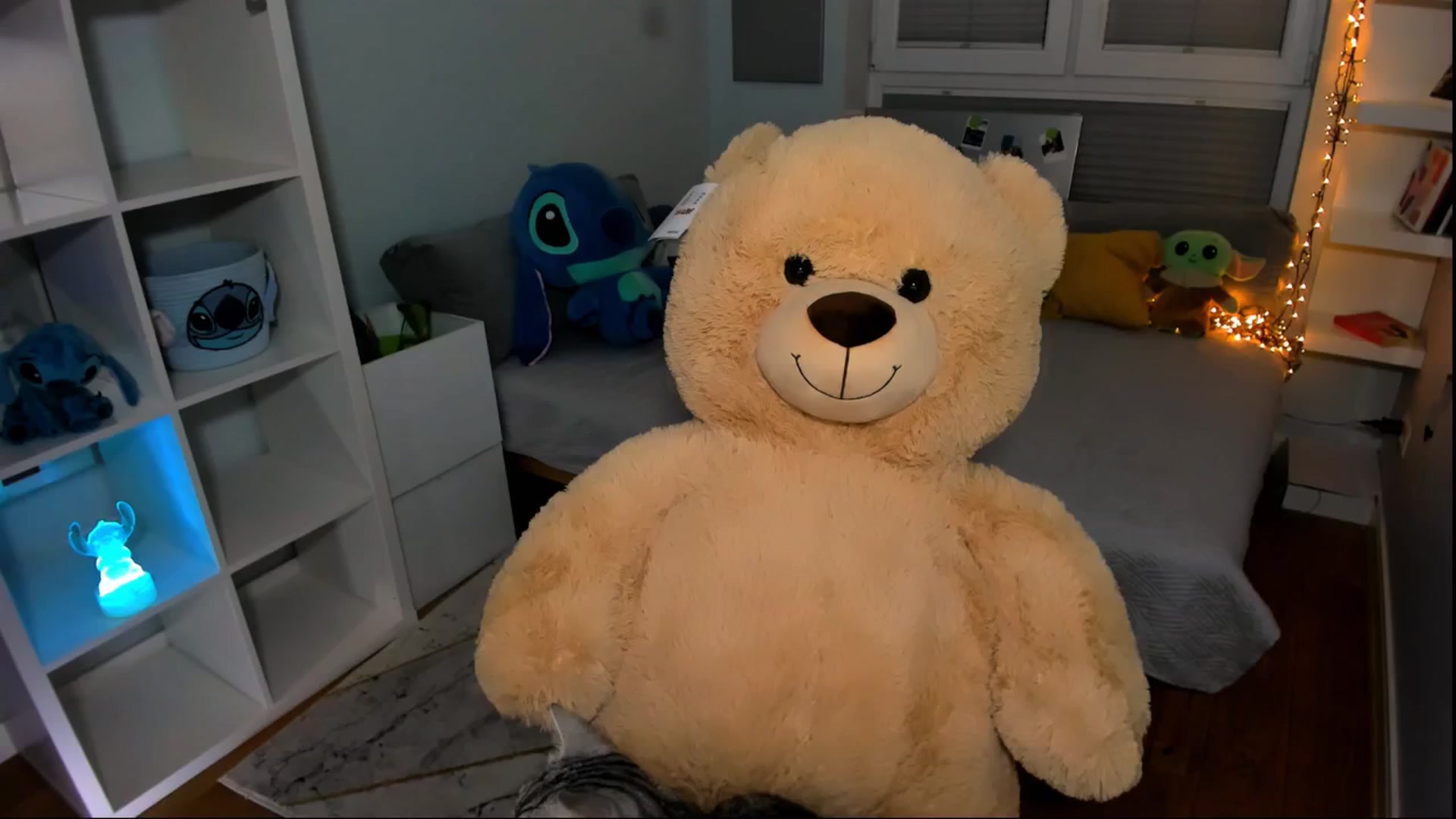 Gallery image thumbnail from LaNuitTresor's myfreecams stream on, 02/27/2025, 20:29 image 15 of 20