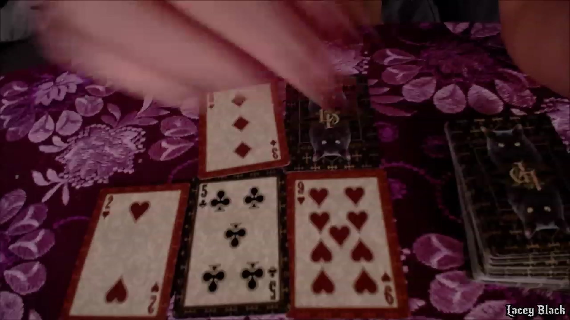 Gallery image thumbnail from LaceyBlack's myfreecams stream on, 02/11/2023, 05:12 image 9 of 20
