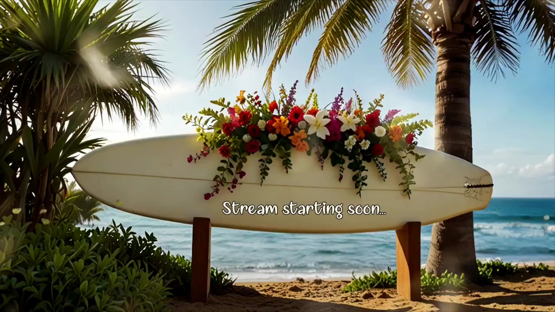 Gallery image thumbnail from LaceyBlack's myfreecams stream on, 06/24/2025, 02:56 image 1 of 20